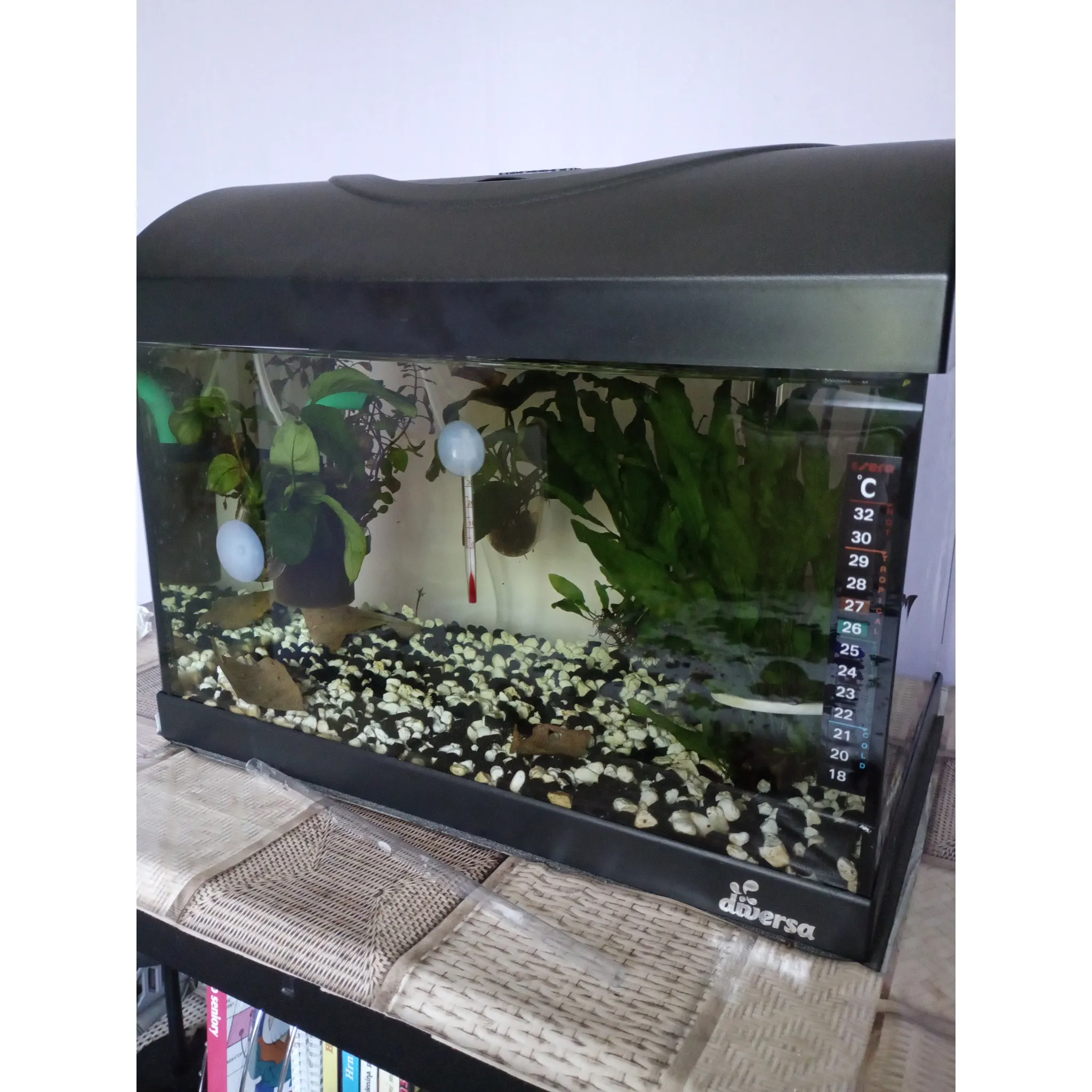 Fotografie 2 - Akvarijní chemie Invital CatappaLeaves 20 g