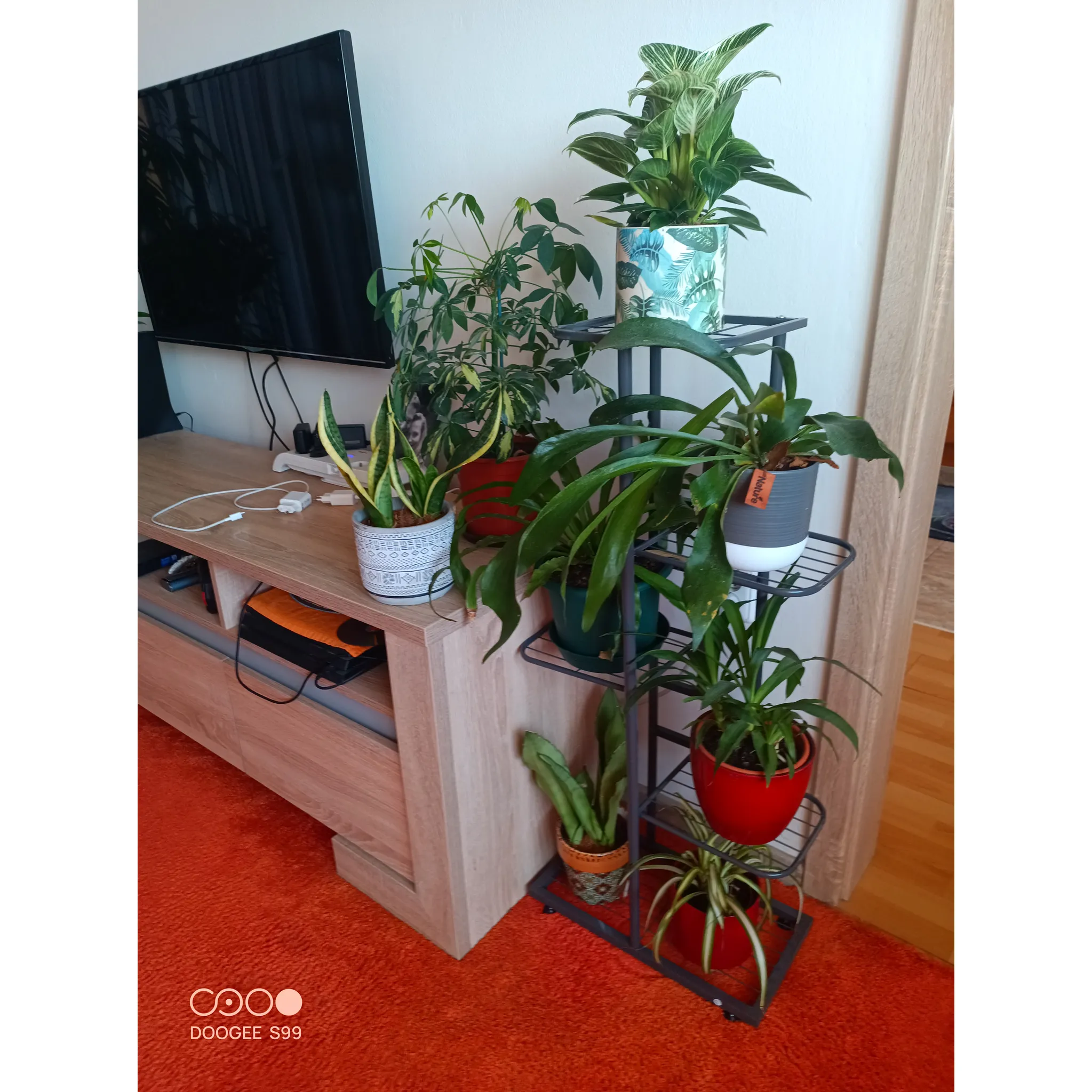 Fotografie 2 - Stojan na květiny Tempo Kondela Bamir Typ 1 43 x 22 x 98 cm tmavě šedý