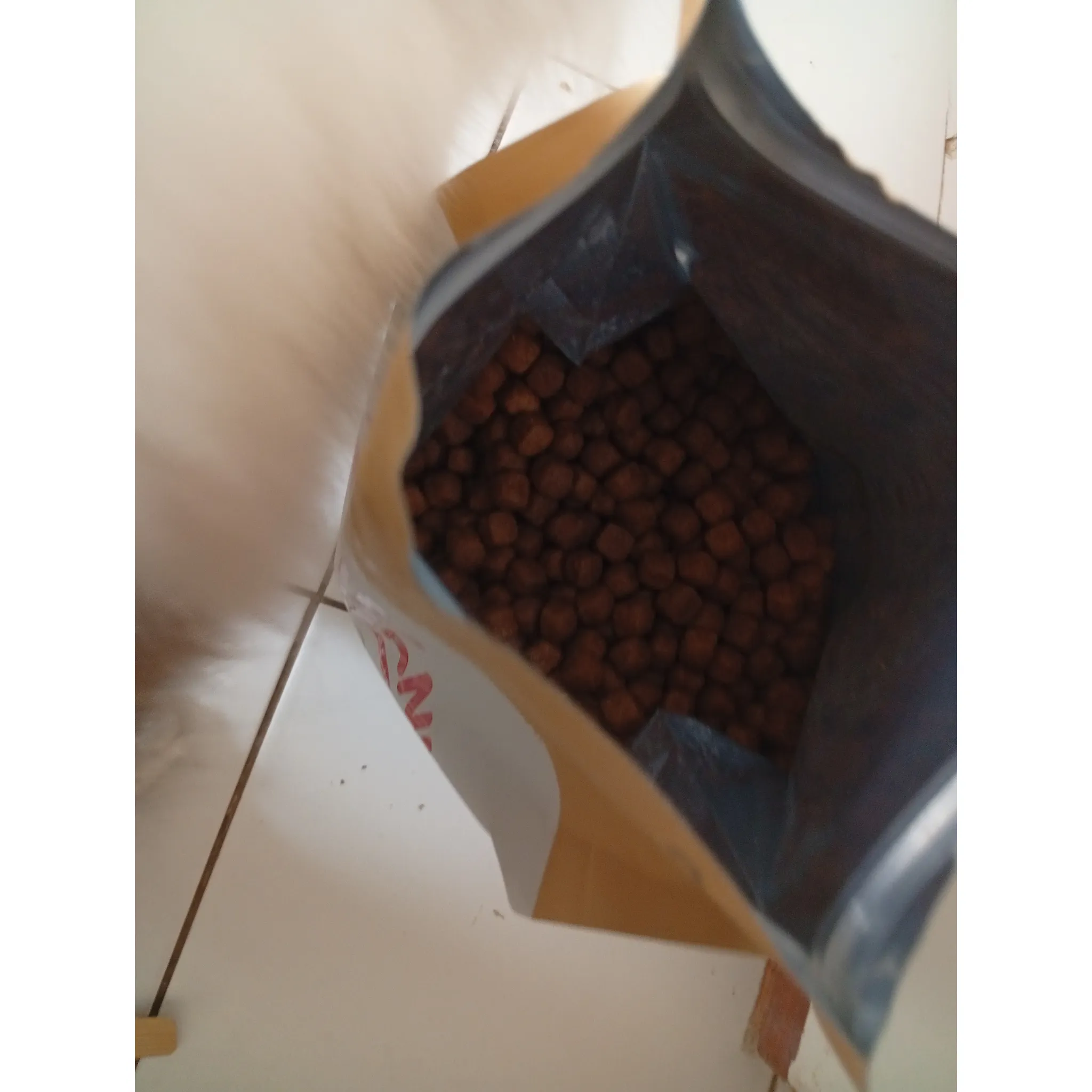 Fotografie 15 - Krmivo pro kočku Royal Canin Maine Coon Adult granule 400 g