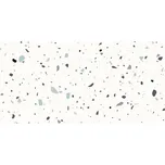 RAKO Spectra 30 x 60 cm 1,44 m2