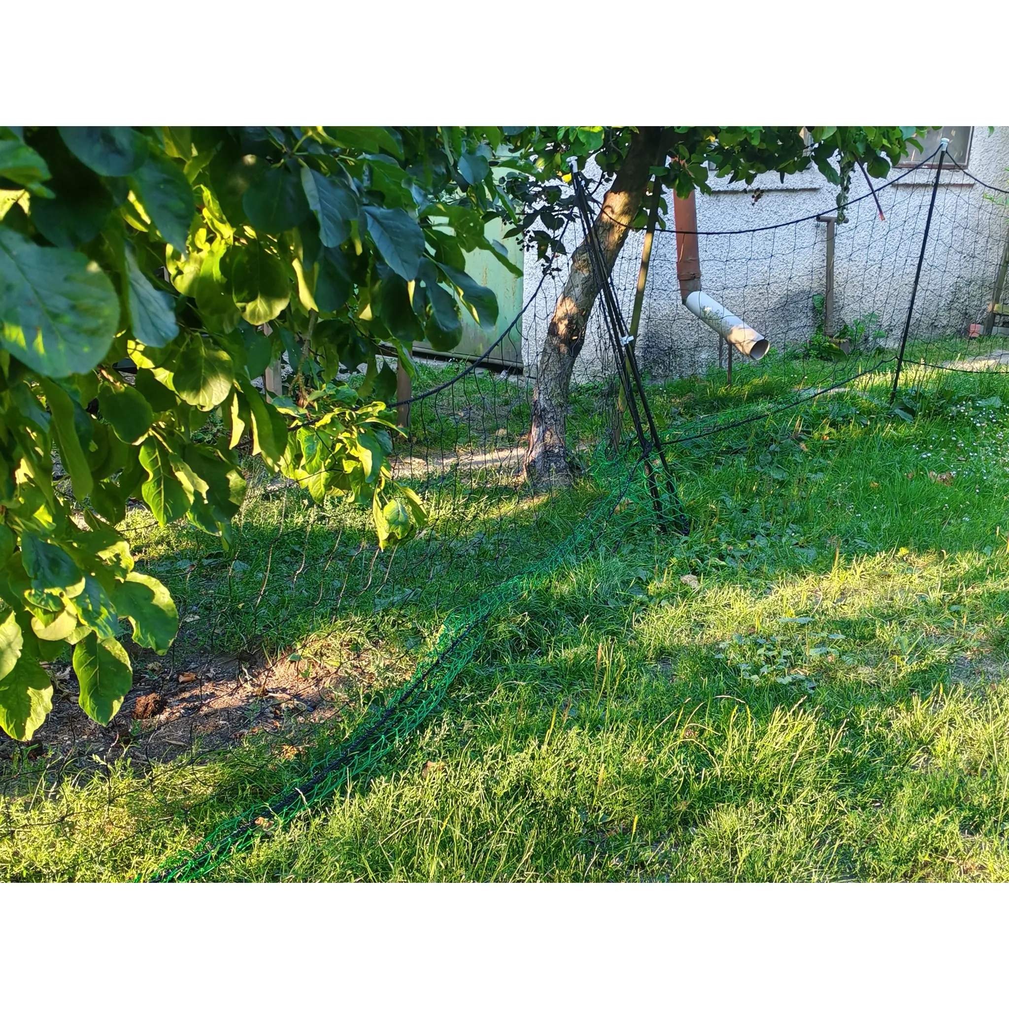 Fotografie 5 - Ohradník VNT Electronics Nevodivá ohradníková síť s brankou pro drůbež zelená 112 cm x 24 m