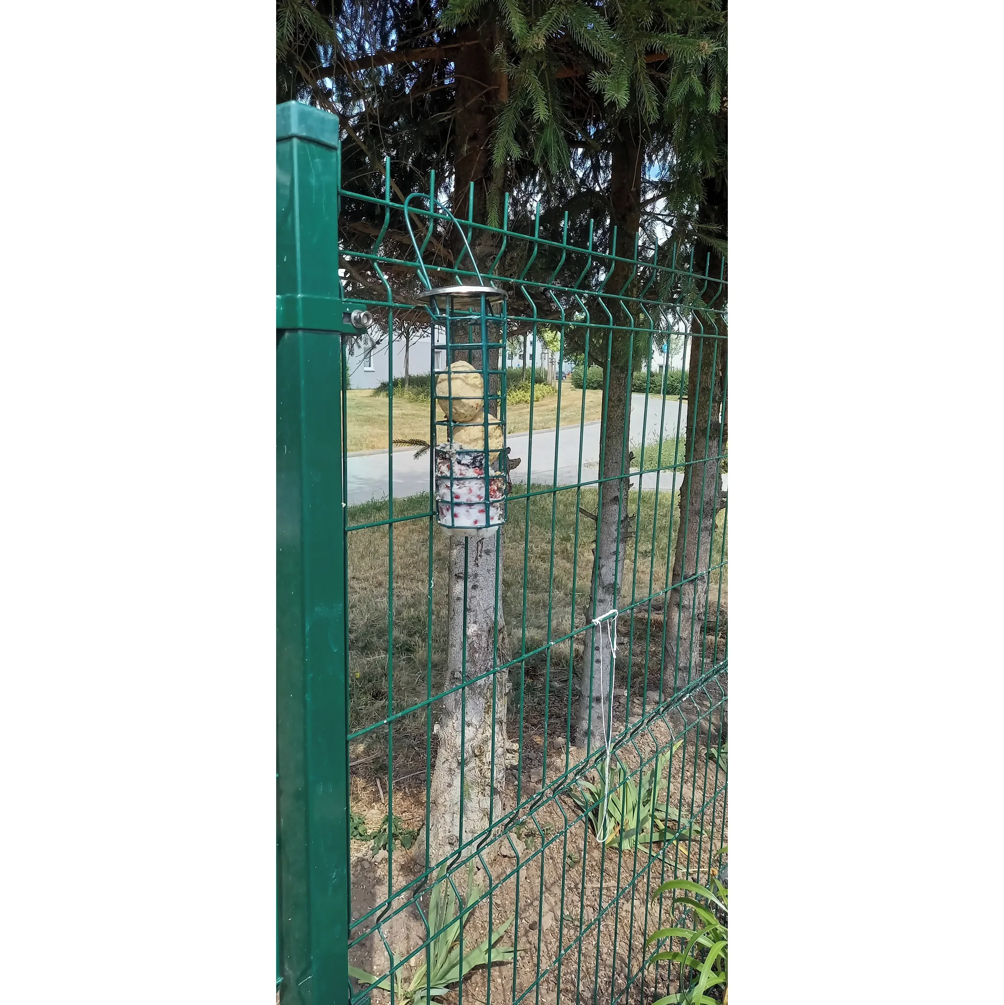 Fotografie 3 - Krmivo pro ptáka Vitakraft Vita Garden lojové koule bez síťky 25x 85 g