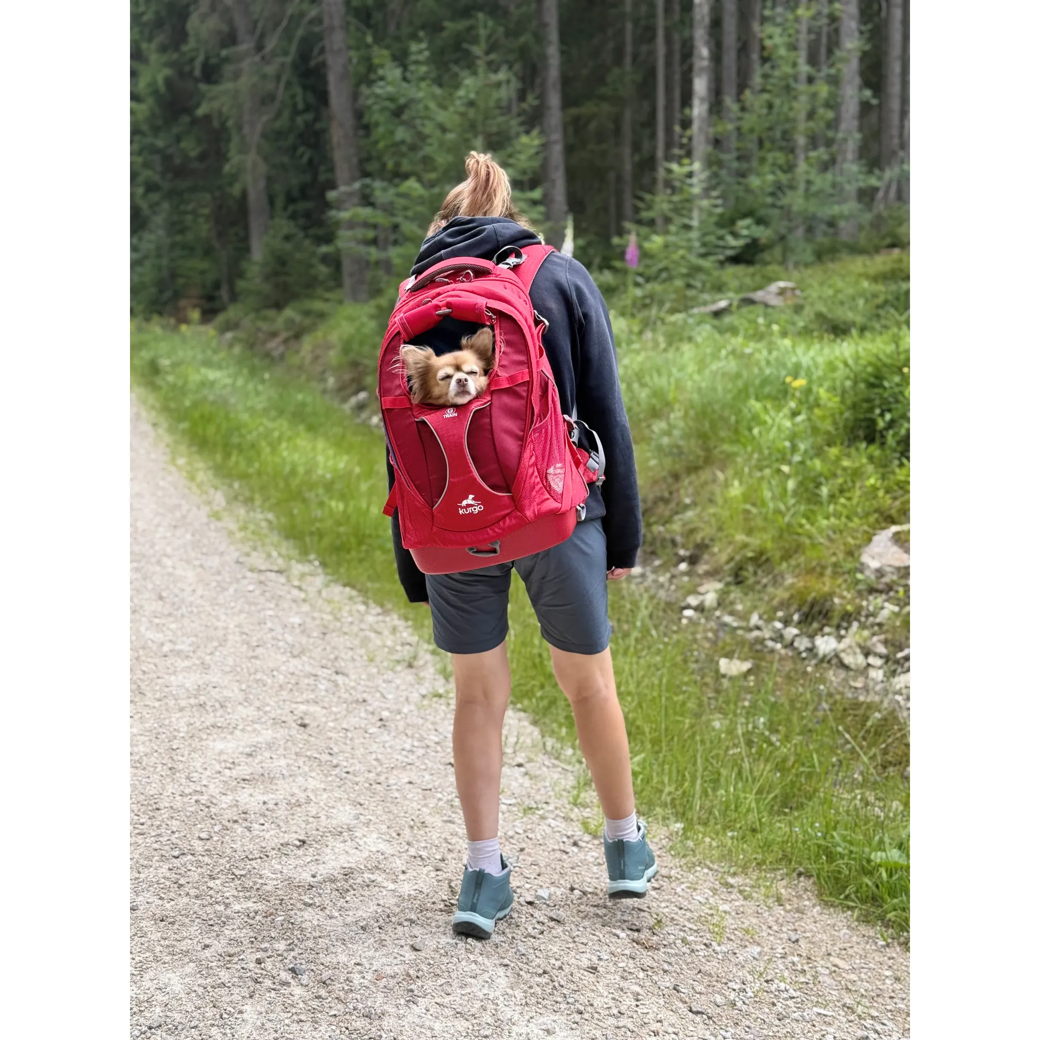 Fotografie 4 - Psí batoh Kurgo G-Train Dog Carrier Backpack 53,34 x 33,02 x 25,4 cm červený