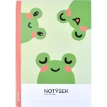 Optys Notýsek pro 1. a 2. třídu A5 32…