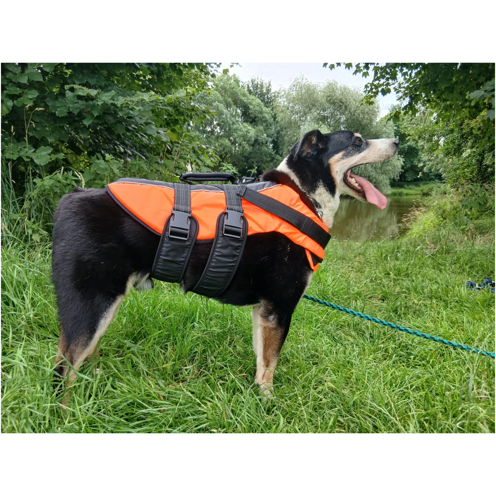 Fotografie 2 - Obleček pro psa Rukka Safety Life Vest L oranžová