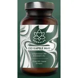 Herbalus CBD 50 kapslí