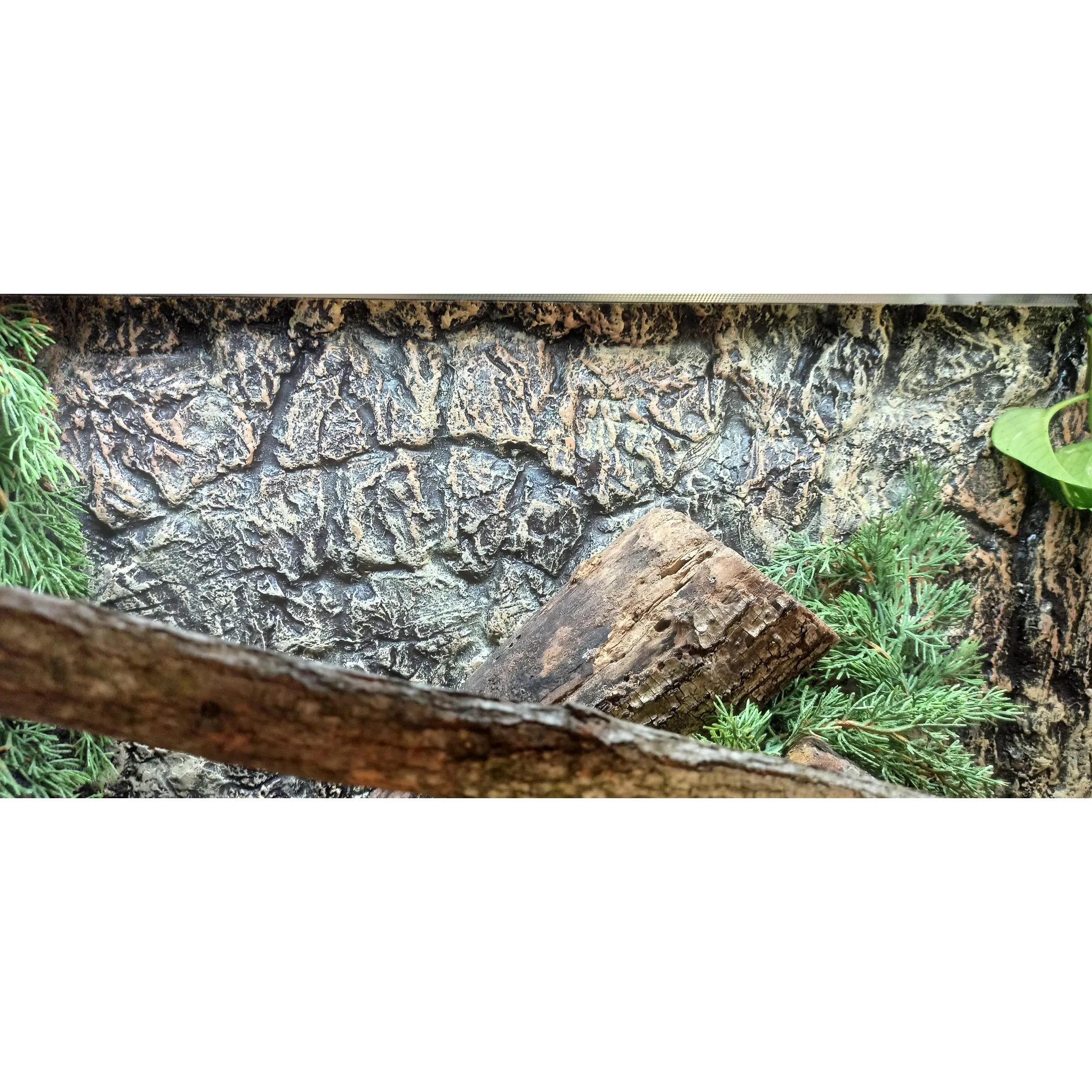 Fotografie 2 - Dekorace do terária ATG Pozadí do terária Slim 100 x 50 cm