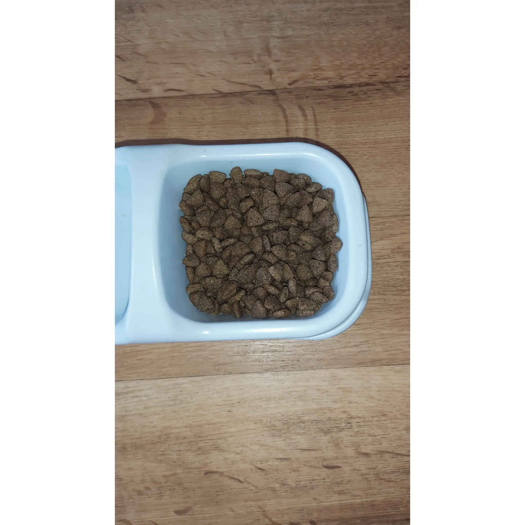 Fotografie 4 - Krmivo pro psa Rufruf Smart & Tasty krůtí s pohankou a probiotiky 12 kg
