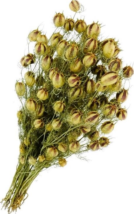 Sušená Nigella damascena 100 g