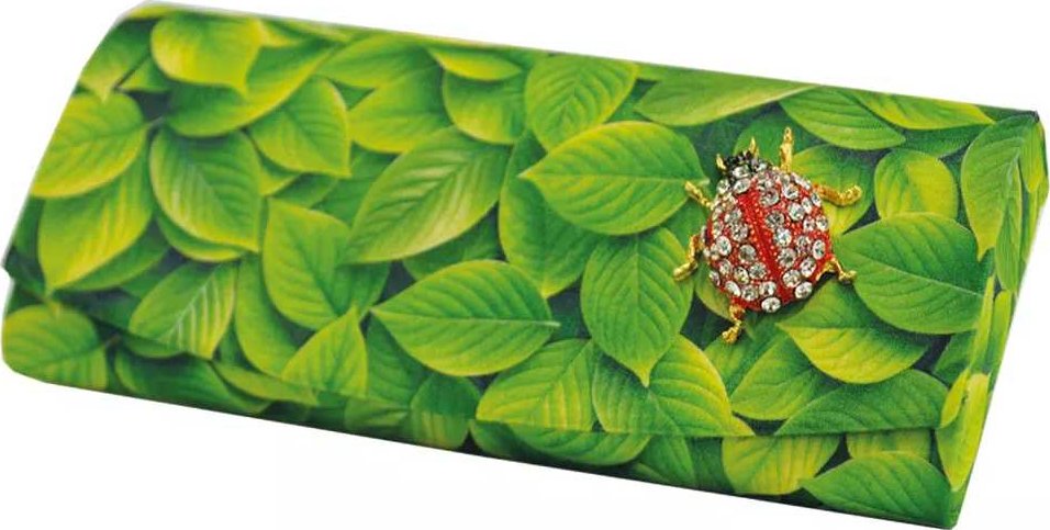 Royal Case Pouzdro Albinex na dioptrické brýle s beruškou a hadříkem 80 141-c3