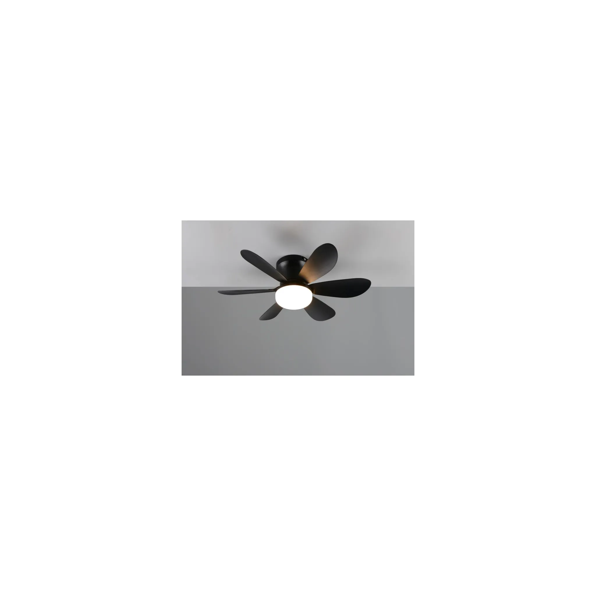 Fotografie 2 - Stropní ventilátor Trio Leuchten Lund R67462132