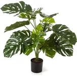 Nieuwkoop Monstera Deliciosa 8FW52102N…