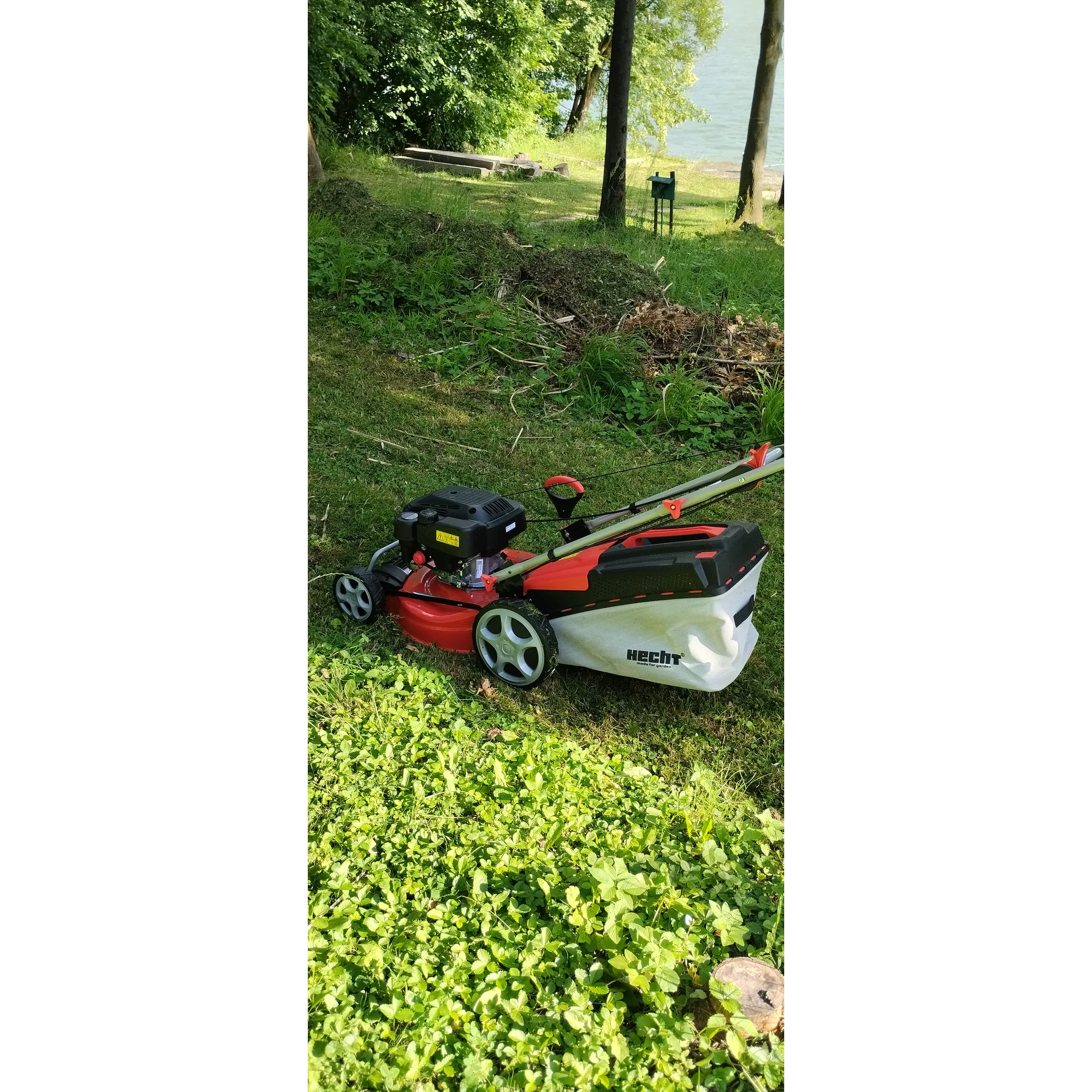 Fotografie 13 - Sekačka Hecht 546 SX