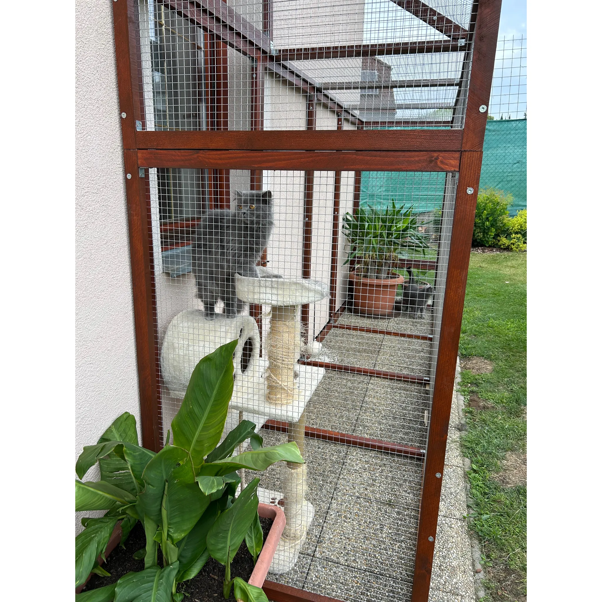 Fotografie 3 - Pletivo Strend Pro Garden Zn 431147 19 x 19 mm 1 x 25 m