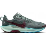 NIKE Pegasus Trail 5 DV3864-302 43