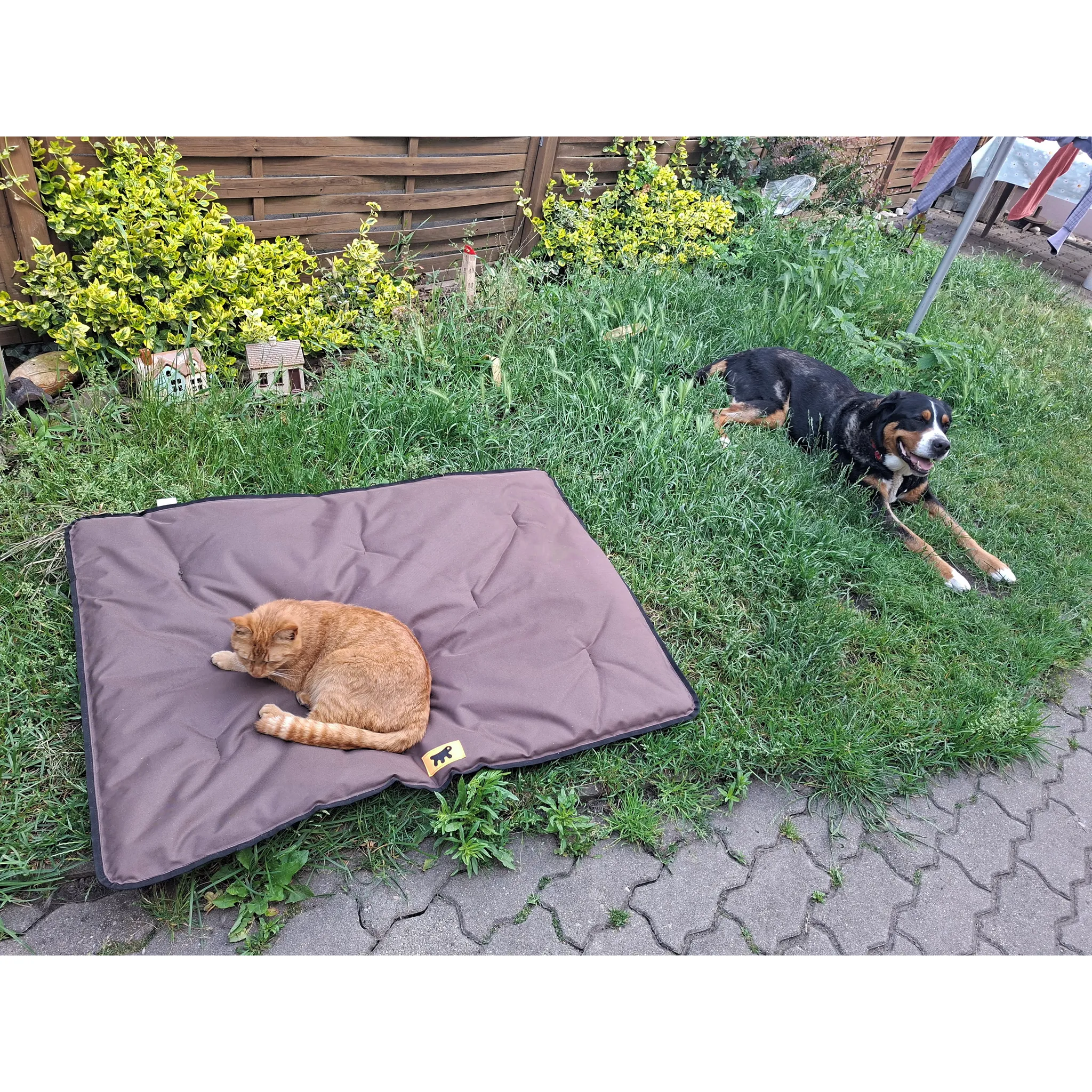 Fotografie 3 - Pelíšek pro psa Ferplast Jolly Brown víceúčelová voděodolná matrace 110 cm