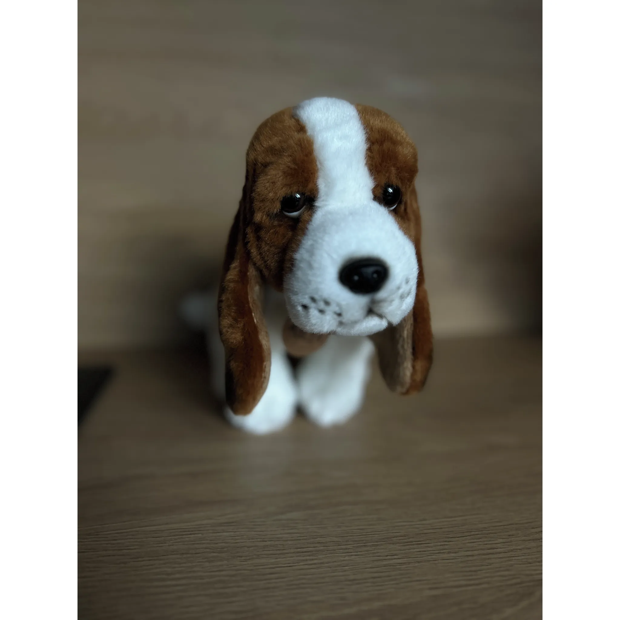 Fotografie 2 - Plyšák Rappa Eco Friendly Basset 32 cm