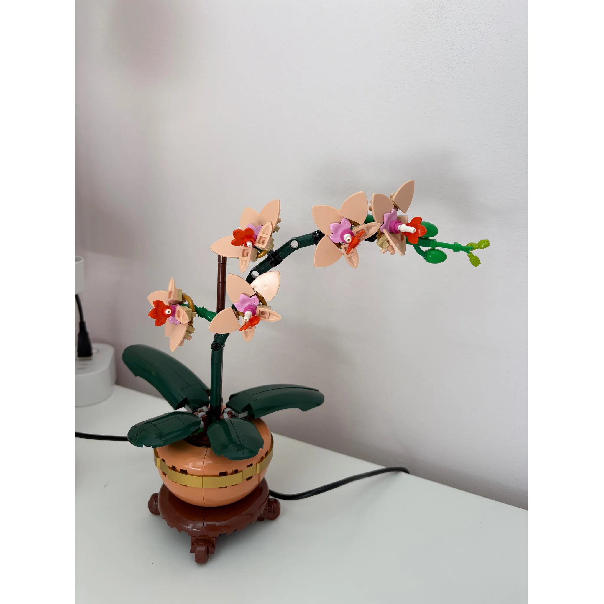 Fotografie 8 - Stavebnice LEGO LEGO Botanicals 10343 Miniaturní orchidej