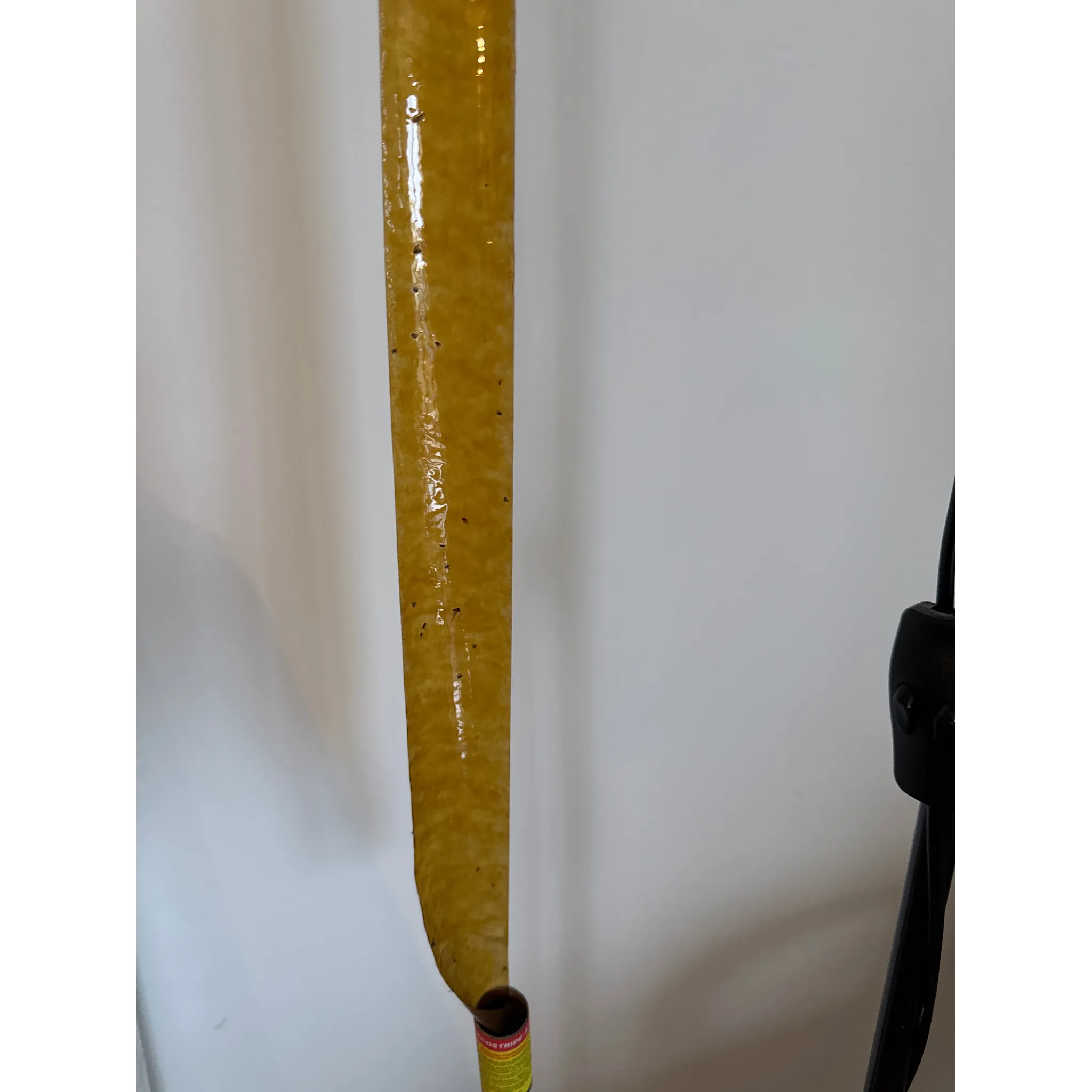 Fotografie 4 -  Papírna Moudrý Classic mucholapka 4 ks