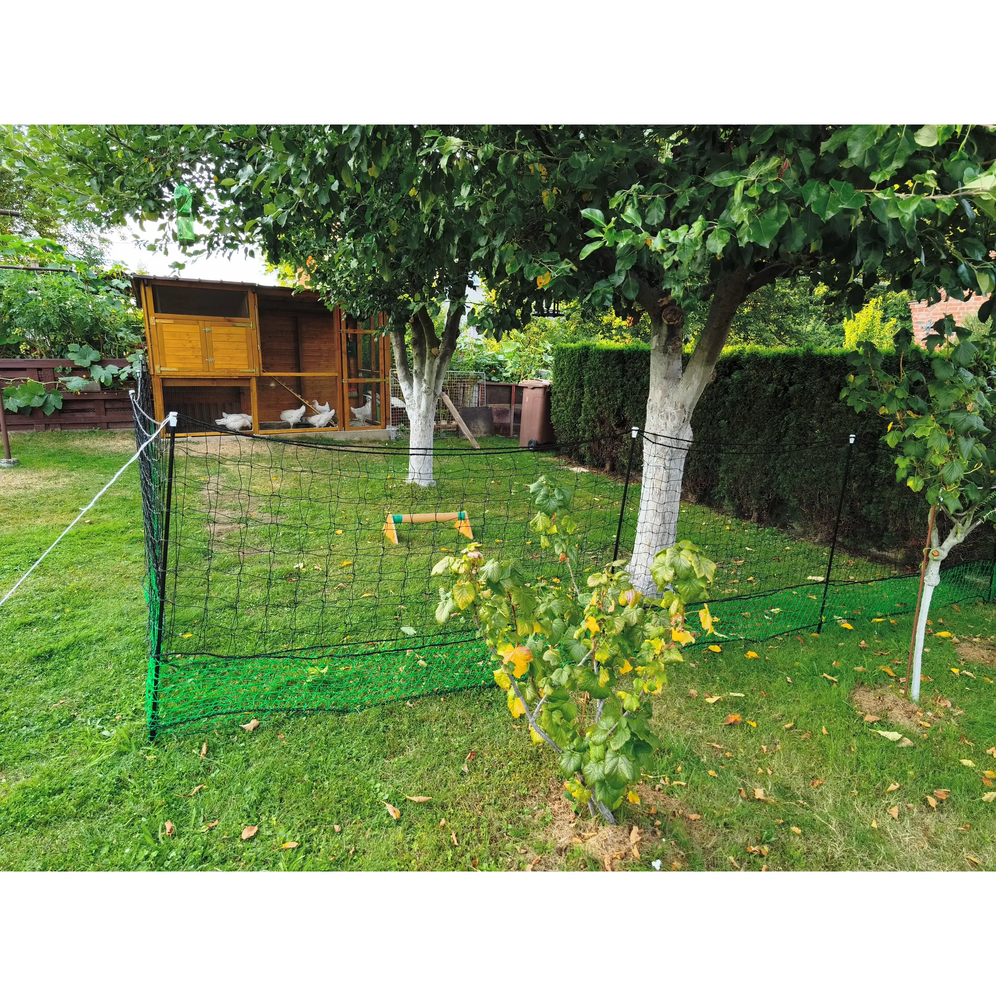 Fotografie 3 - Ohradník VNT Electronics Nevodivá ohradníková síť s brankou pro drůbež zelená 112 cm x 24 m