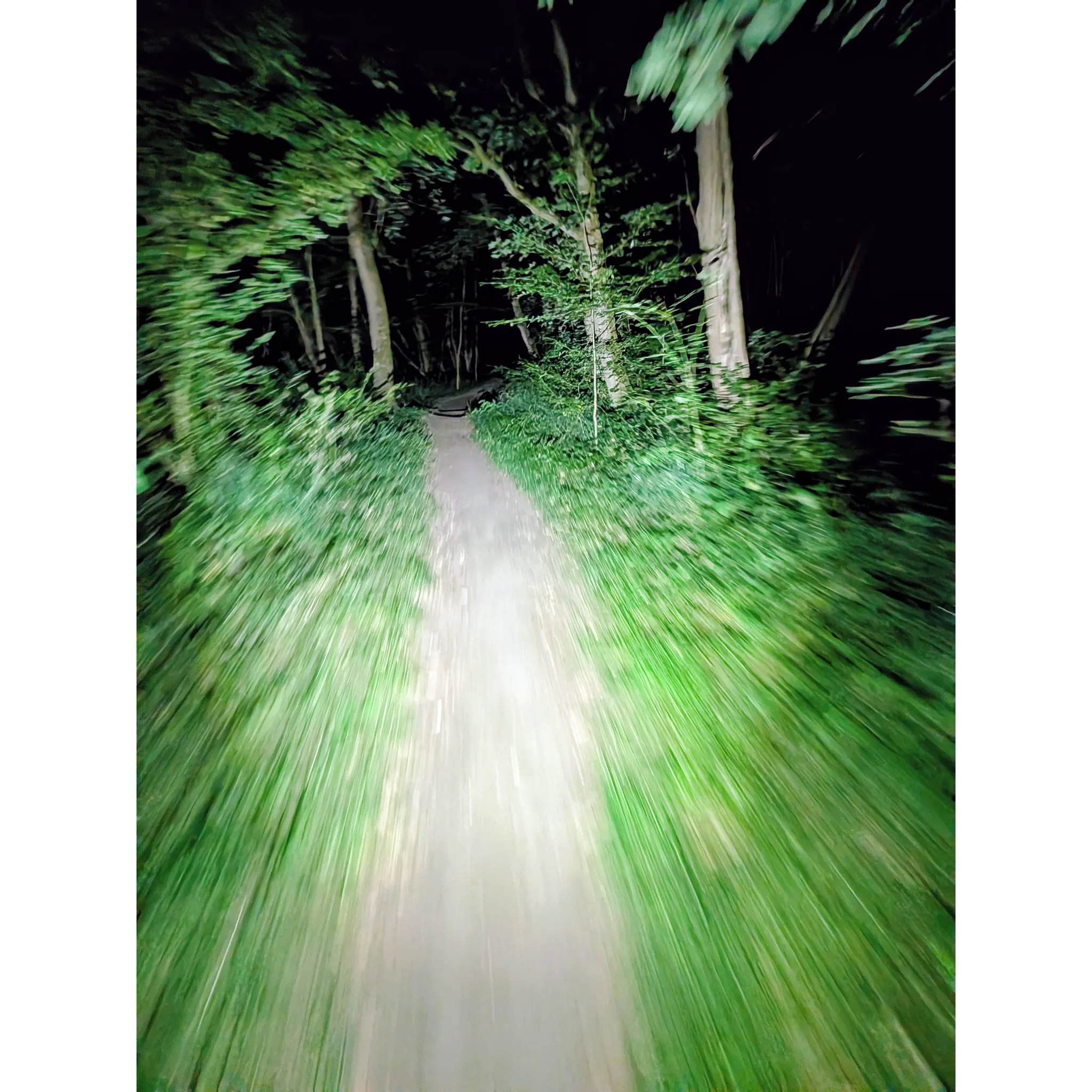 Fotografie 2 - Cyklosvítilna Towild CL1200 přední černé