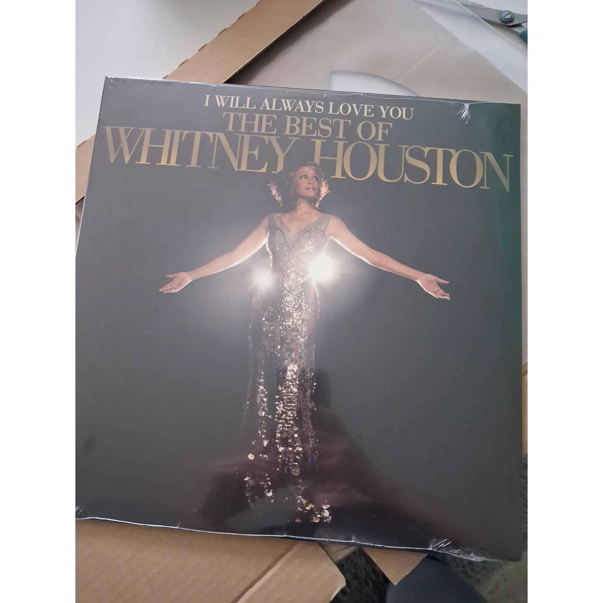Fotografie 2 - Zahraniční hudba I Will Always Love You: The best Of Whitney Houston - Whitney Houston [2LP]
