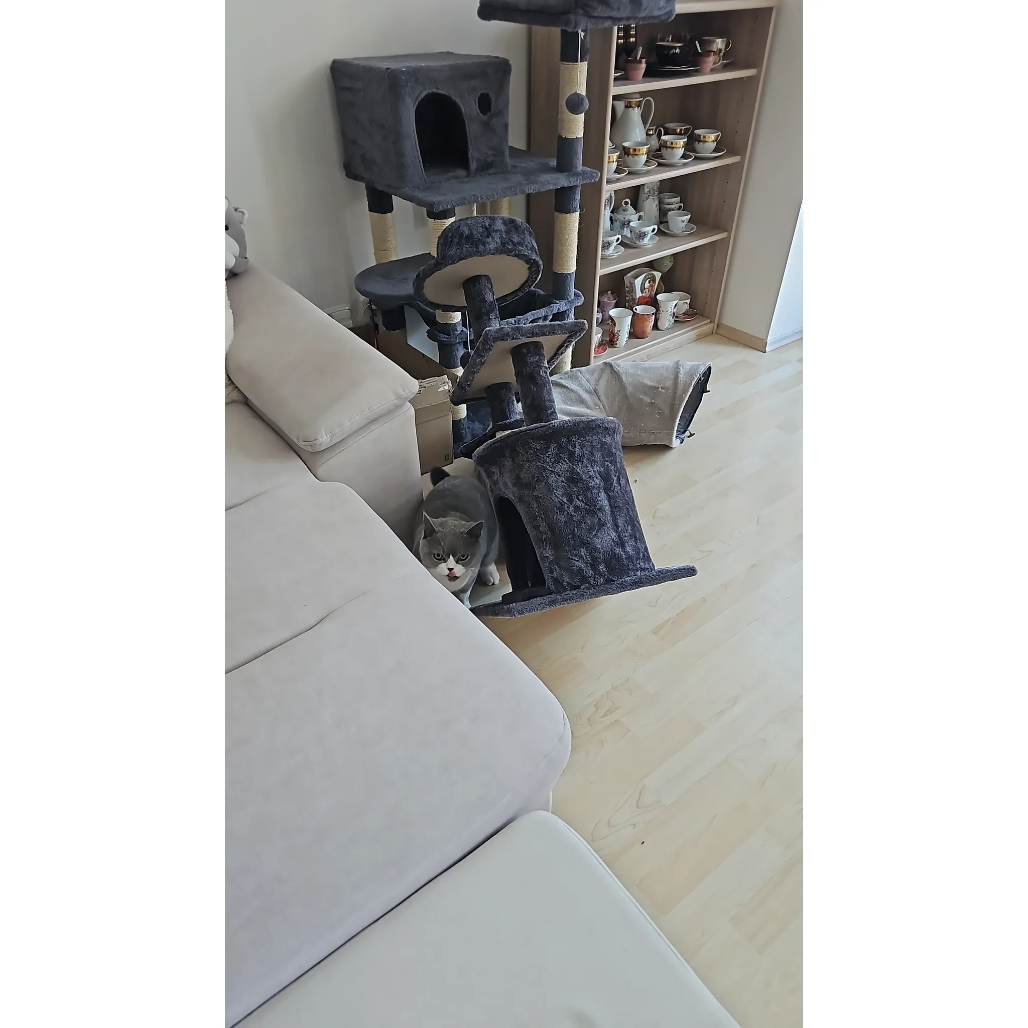 Fotografie 2 -  Aga DS313 škrabadlo pro kočky 88 cm šedé