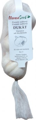 Moravoseed Česnek DUKAT 4-7ks 250g