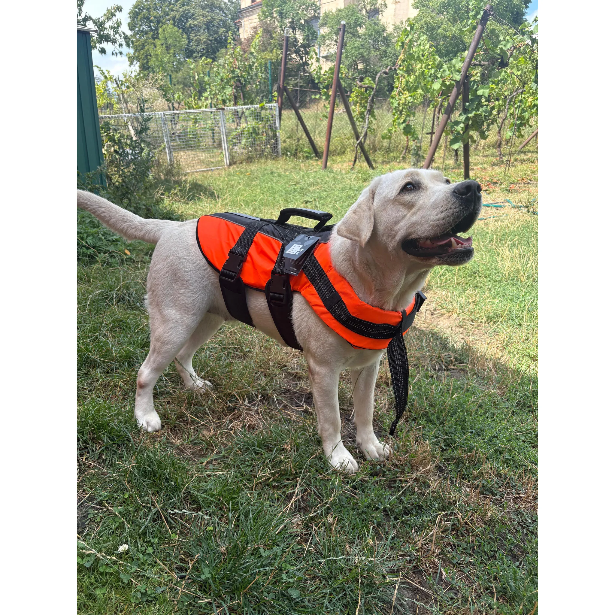 Fotografie 5 - Obleček pro psa Rukka Safety Life Vest L oranžová