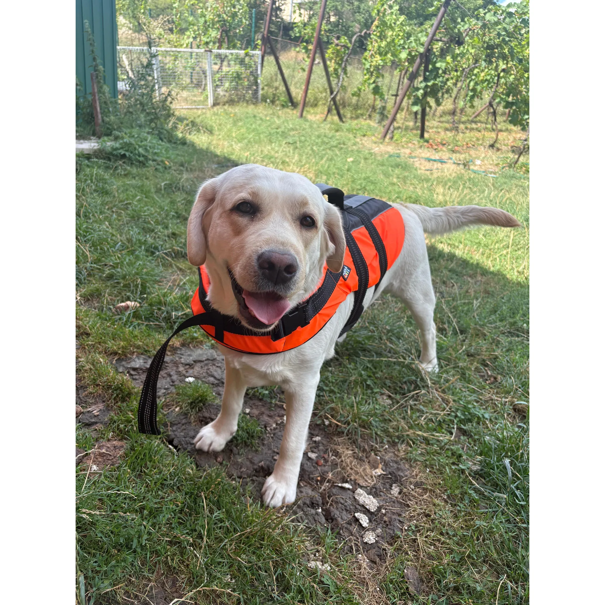Fotografie 3 - Obleček pro psa Rukka Safety Life Vest L oranžová