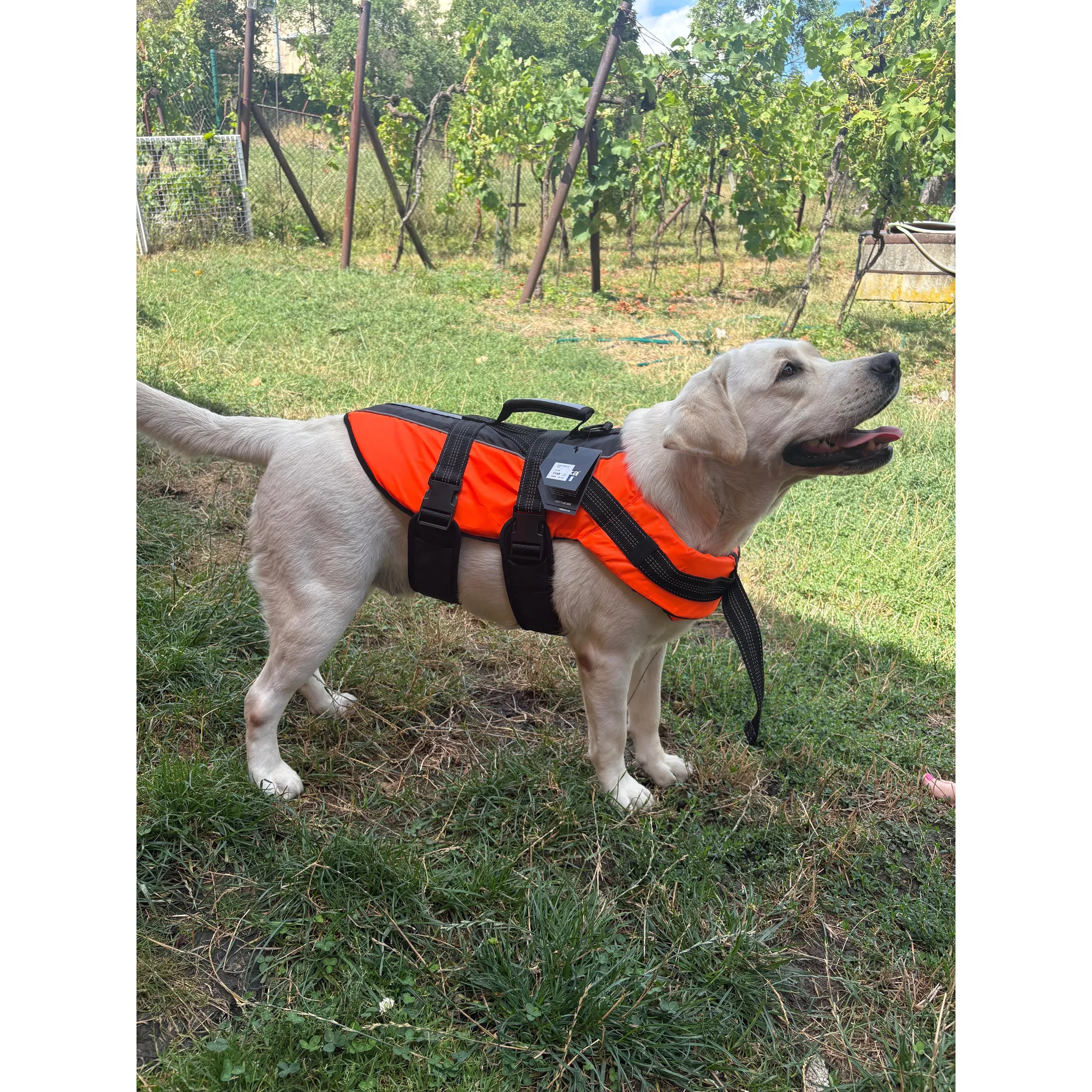 Fotografie 2 - Obleček pro psa Rukka Safety Life Vest L oranžová