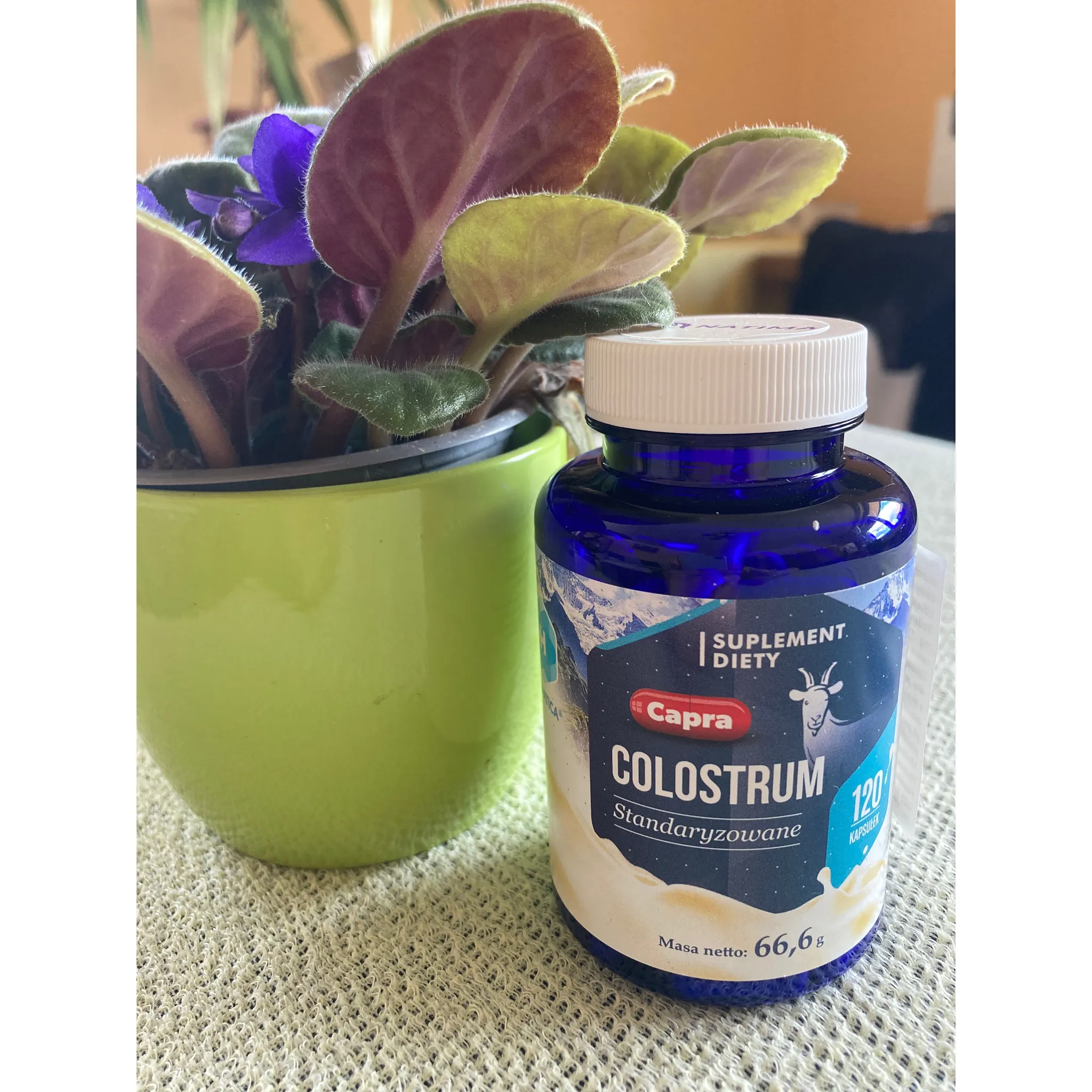 Fotografie 2 - Přírodní produkt Hepatica Capra Colostrum 120 tbl.