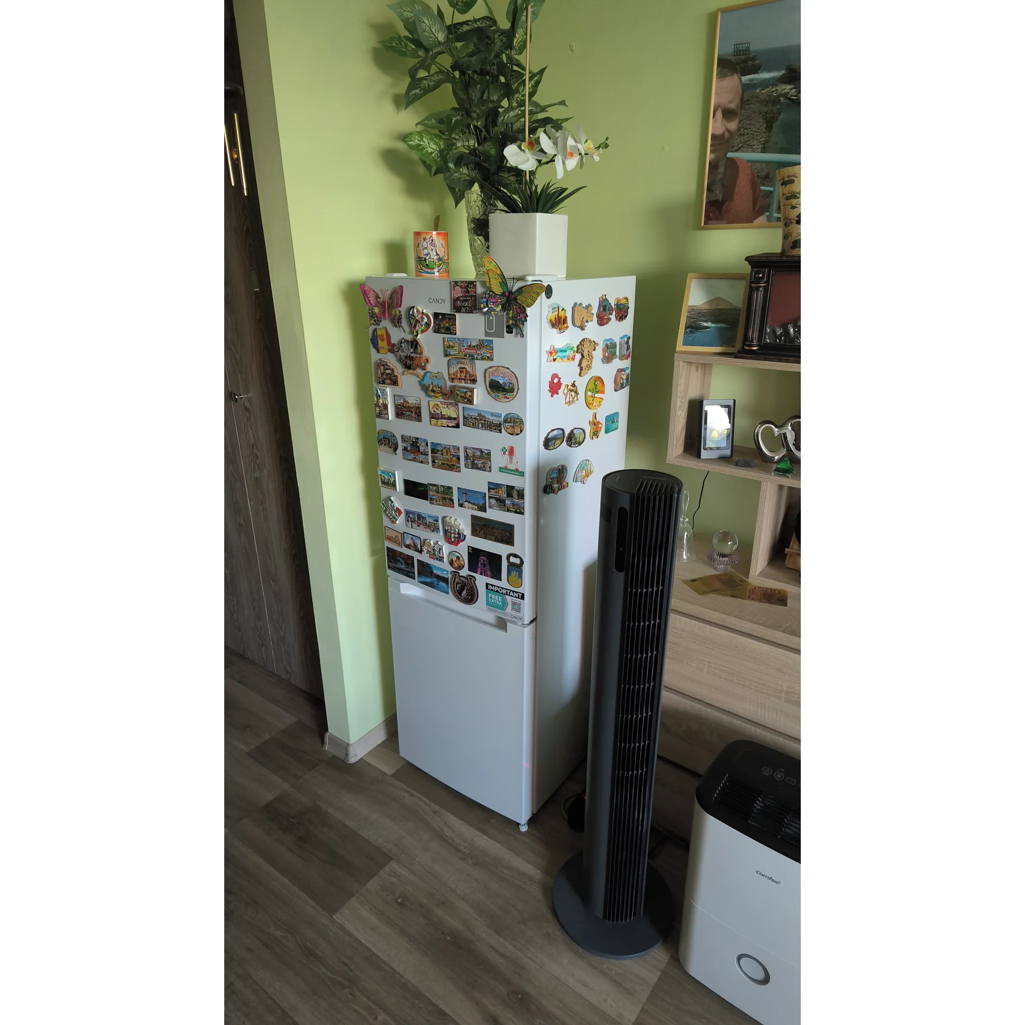 Fotografie 5 - Lednice Candy CCG1L314CW 34006021