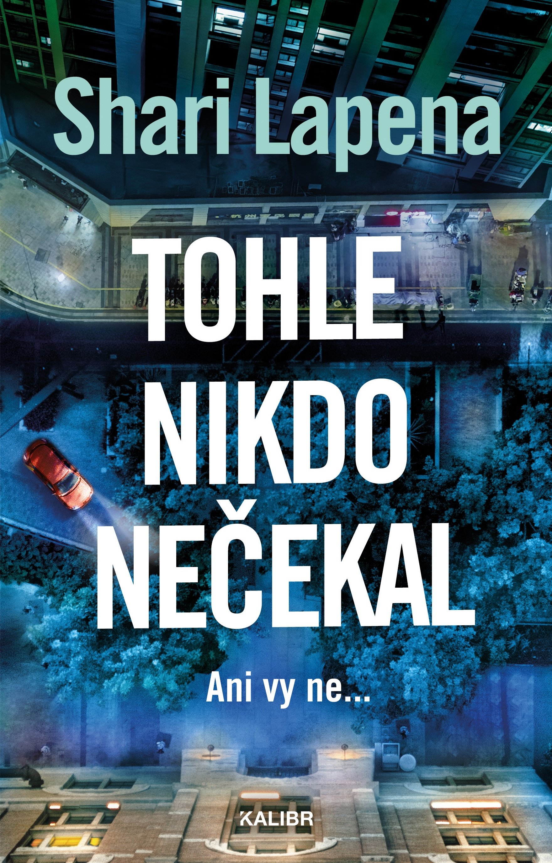 Tohle nikdo nečekal - Shari Lapena [E-kniha] 2026