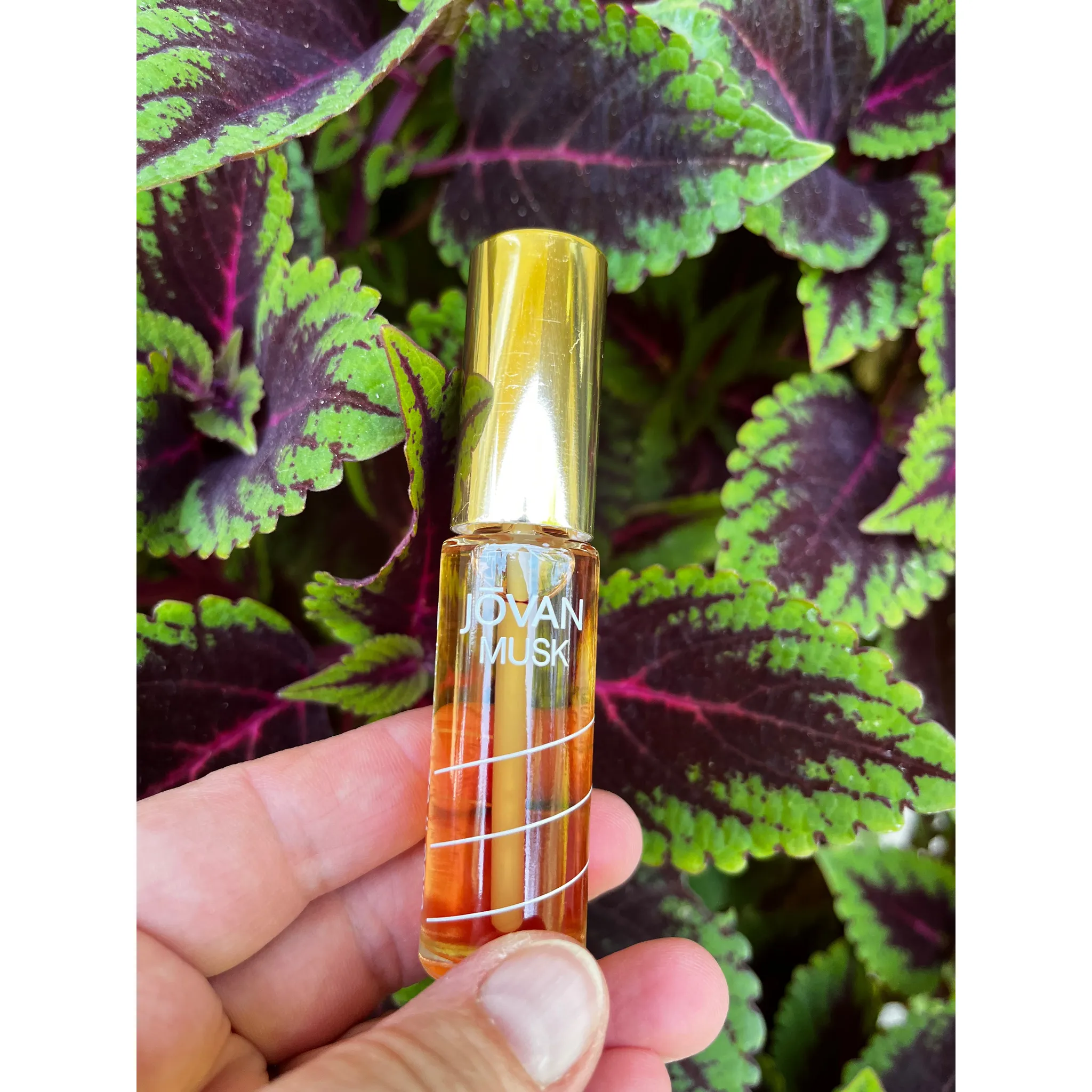 Fotografie 2 - Dámský parfém Jovan Musk Oil W olejový parfém 9,7 ml