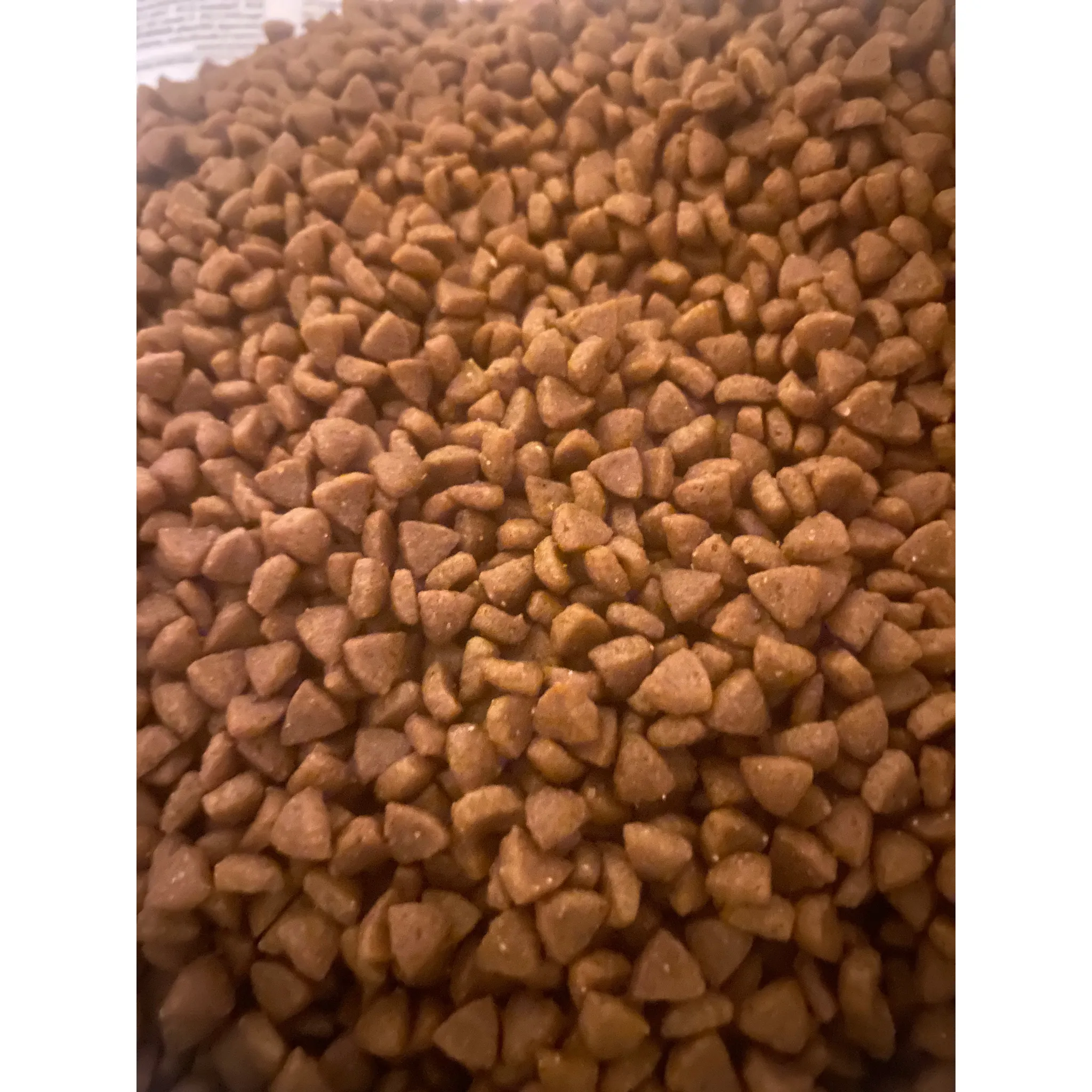 Fotografie 4 - Krmivo pro psa Royal Canin Mini Starter 4 kg