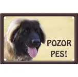 Plechová psí cedule Pozor pes 100 x 150…