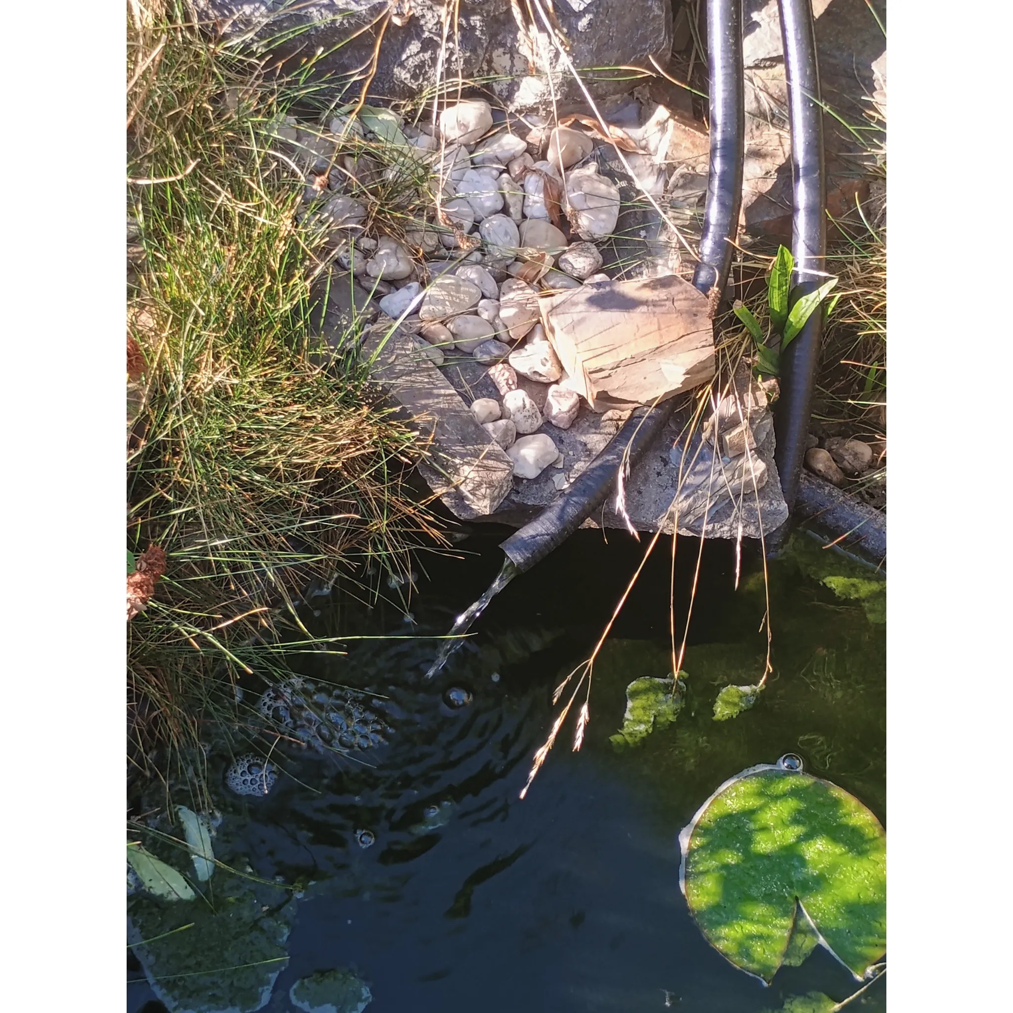 Fotografie 6 - Jezírková chemie Home pond Attack Pond 600 g 