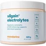Vilgain Hydrate Electrolytes 320 g