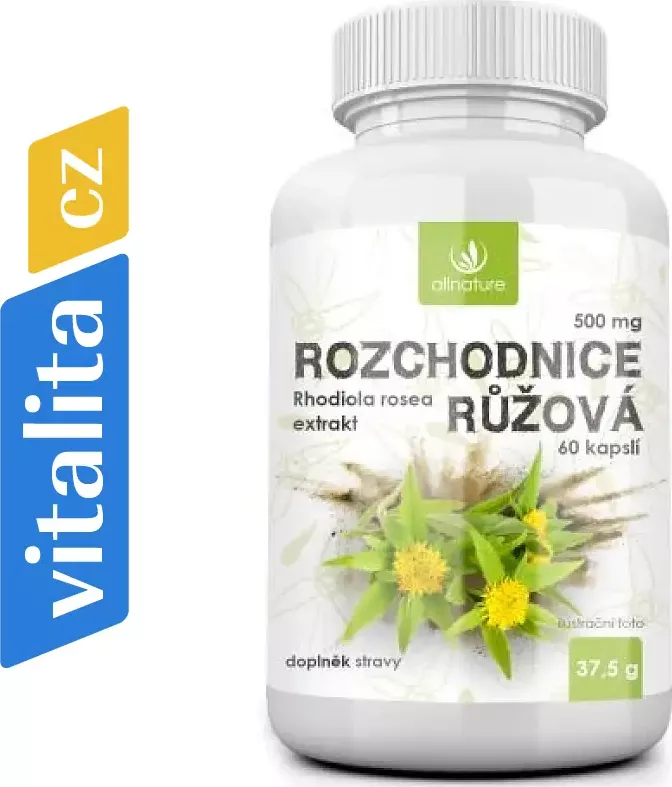 Allnature Rozchodnice růžová 500 mg 60 cps.