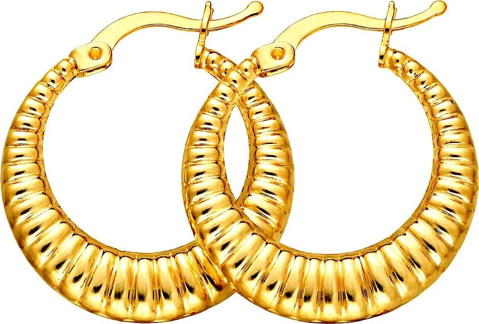 Zlaton Náušnice žluté zlato kruhy 2.5cm 2.5g 000222010238