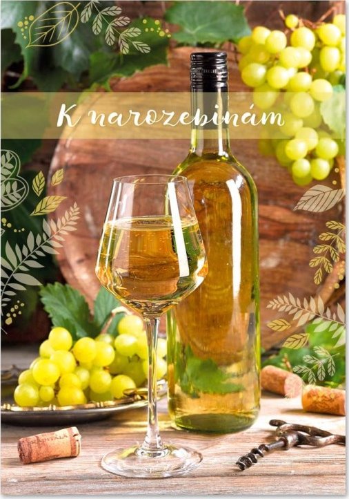 Hrací blahopřání - Když jsem já byl tenkrát kluk , Karel Gott - c002517