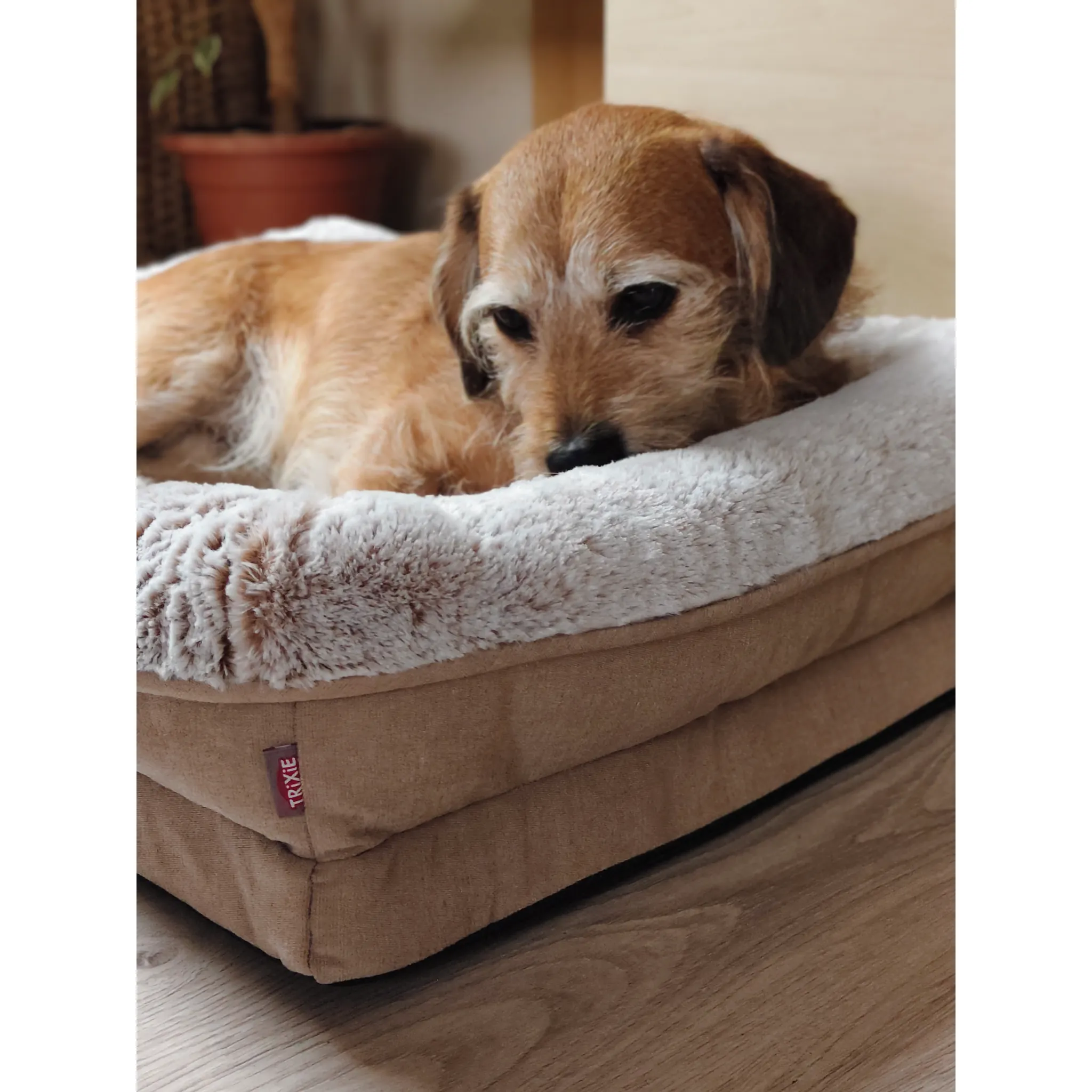 Fotografie 5 - Pelíšek pro psa Trixie Vital Bed Lino 70 x 55 cm béžový