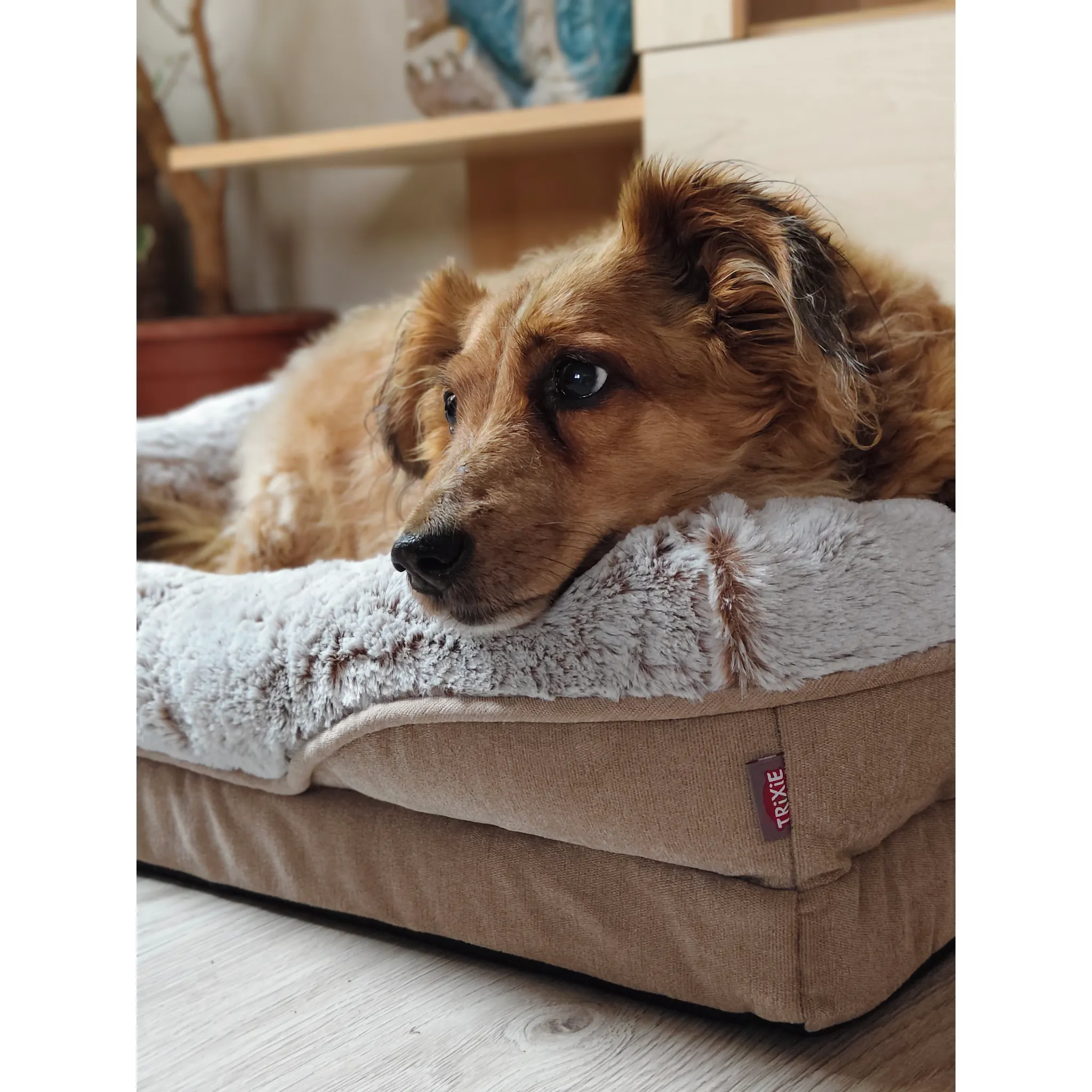 Fotografie 4 - Pelíšek pro psa Trixie Vital Bed Lino 70 x 55 cm béžový