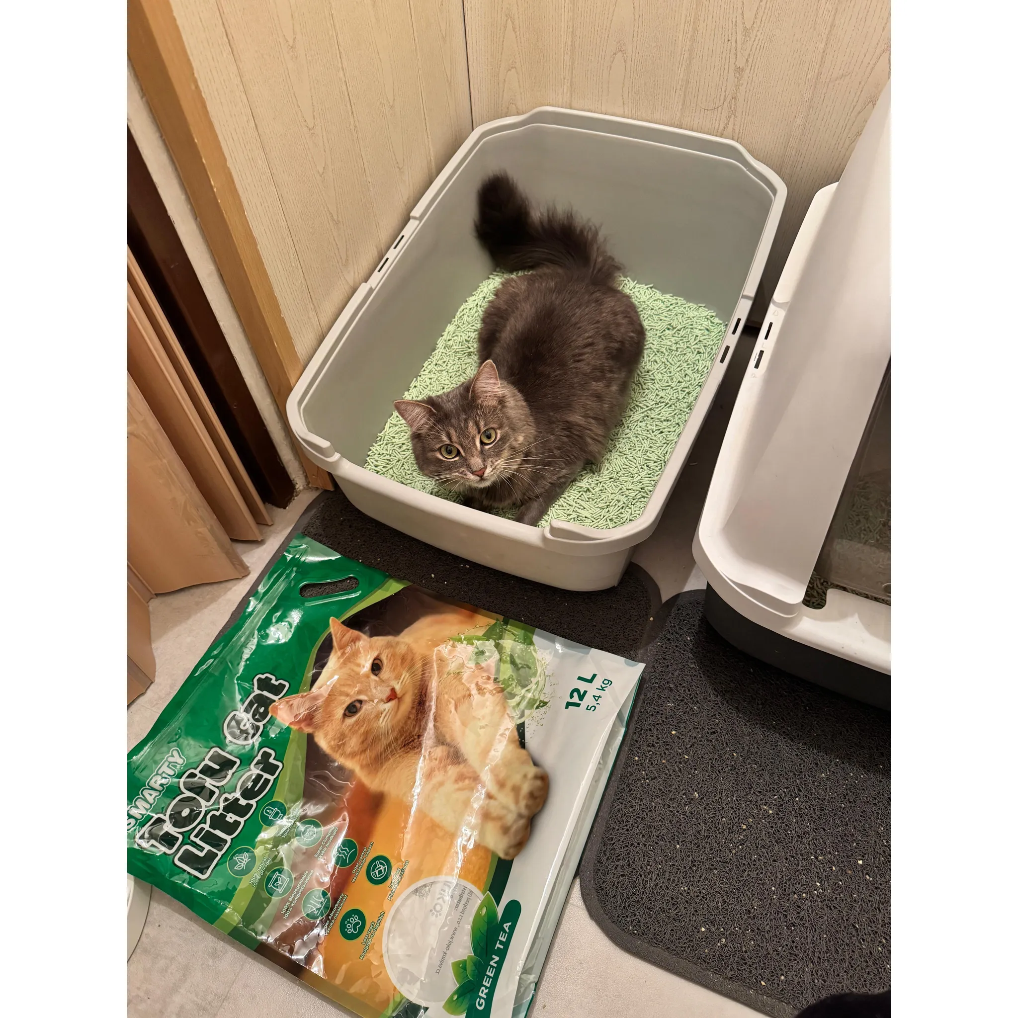 Fotografie 5 - Podestýlka pro kočku SMARTY Pets Tofu Cat Litter Green Tea 6 l