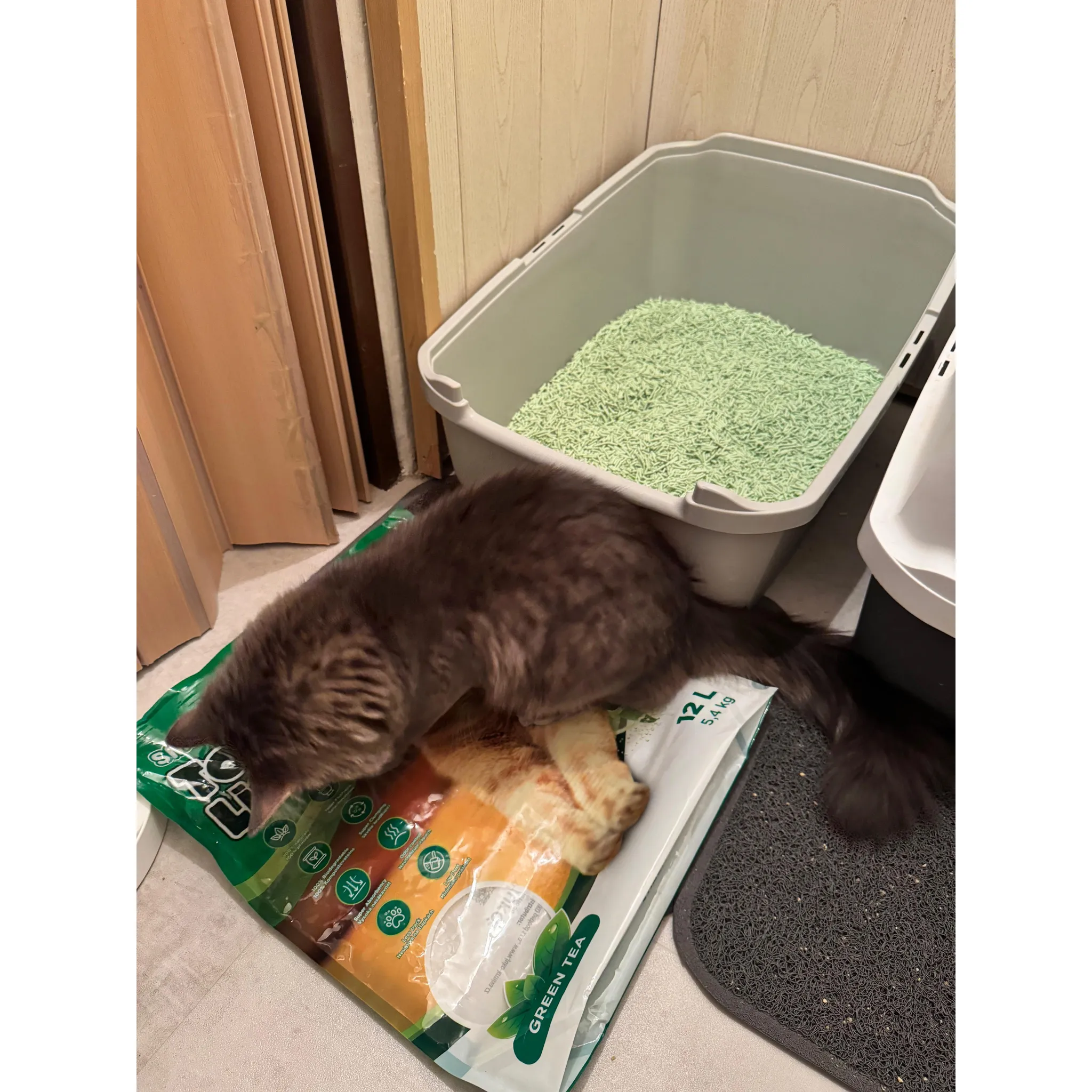 Fotografie 4 - Podestýlka pro kočku SMARTY Pets Tofu Cat Litter Green Tea 6 l