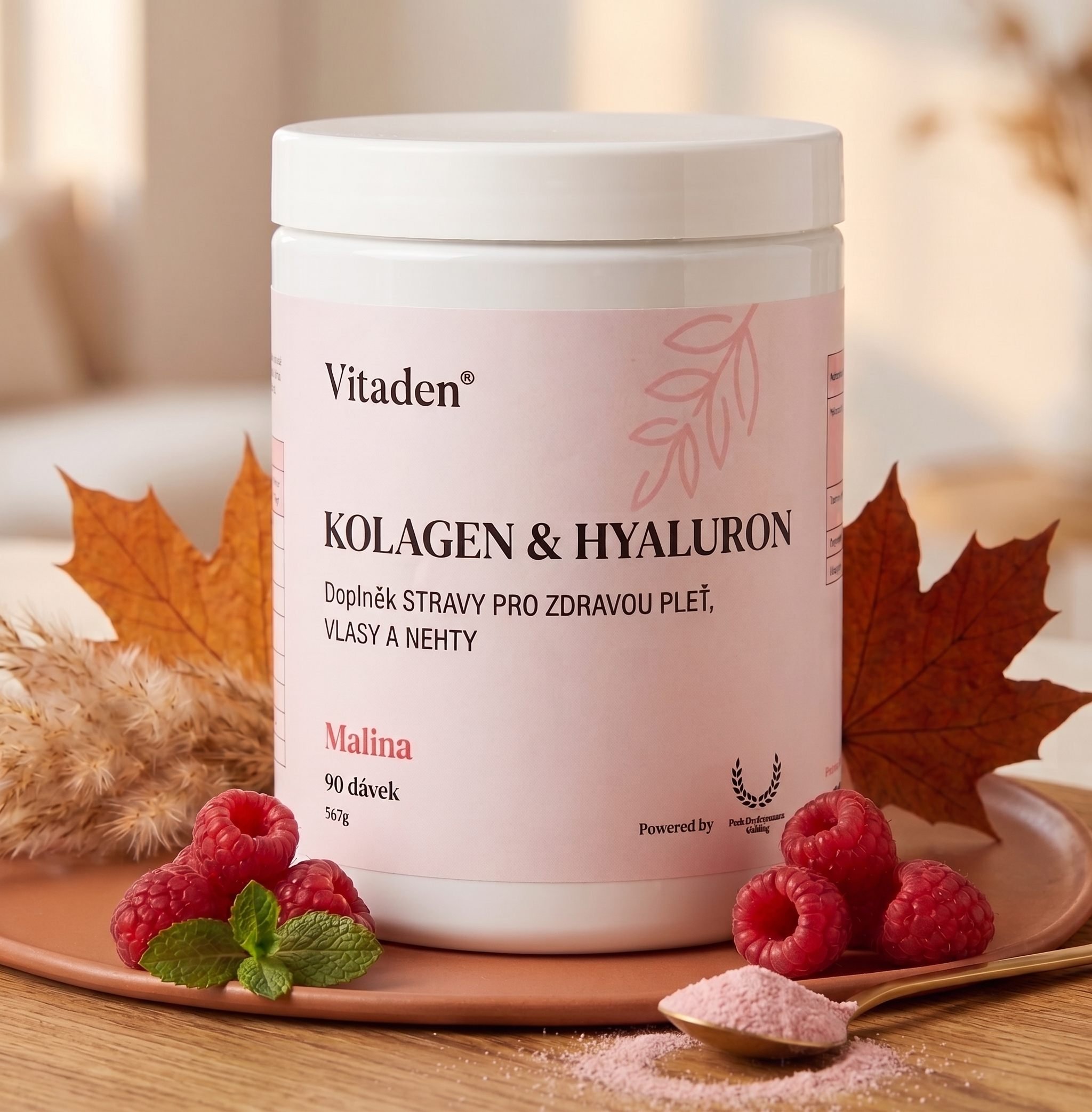 Vitaden | Beauty Kolagen & Hyaluron | Kloubní výživa a péče o pleť | 666 g | 90 dávek