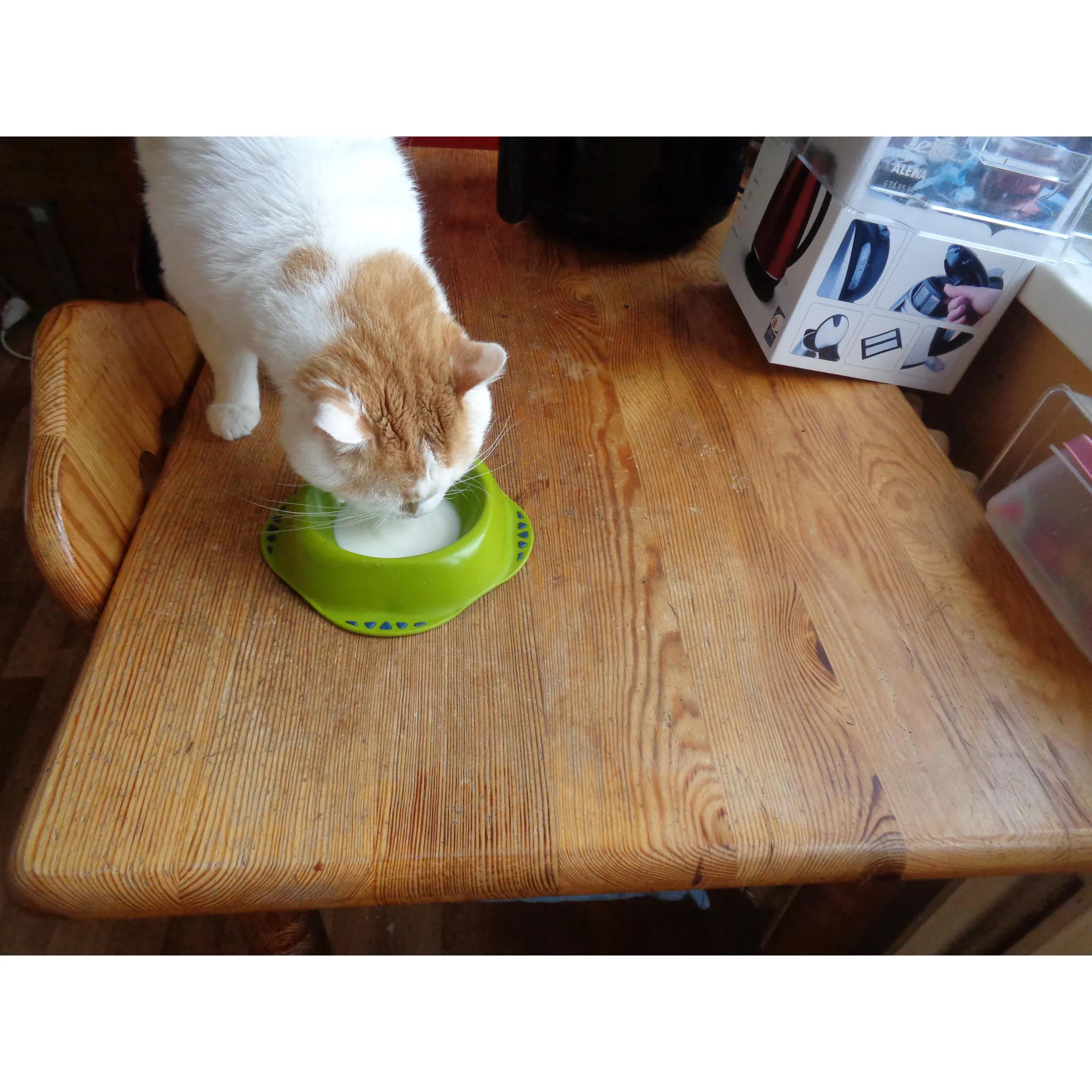 Fotografie 4 -  Athena Cat Mléko pro kočky 200 ml