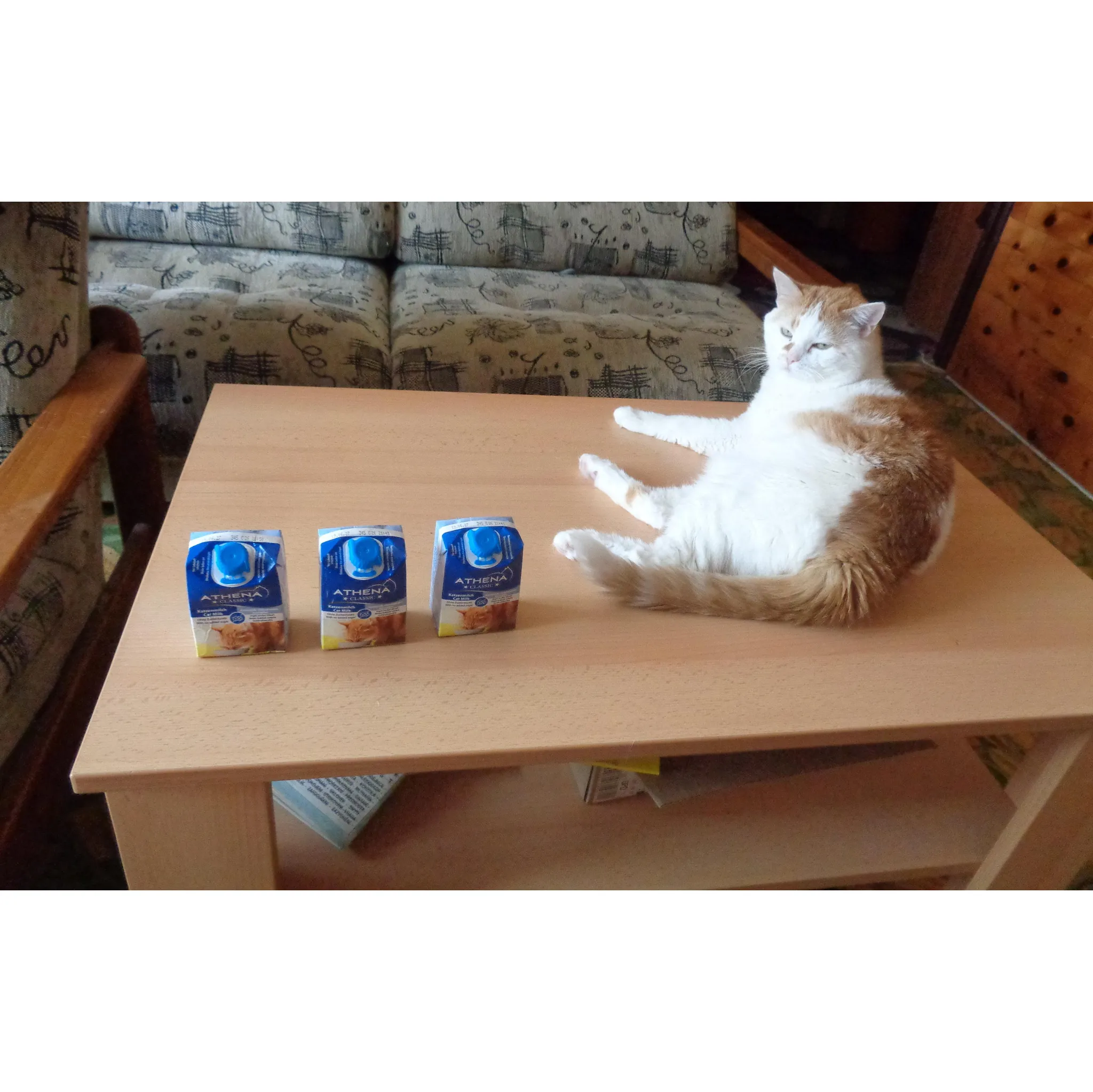 Fotografie 3 -  Athena Cat Mléko pro kočky 200 ml