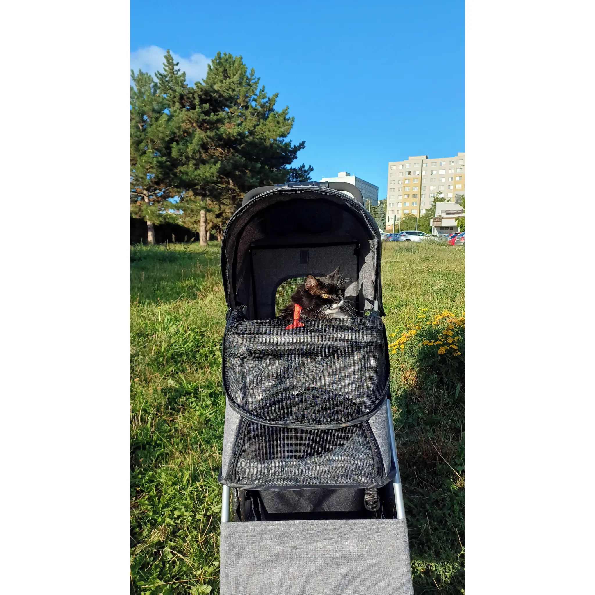 Fotografie 2 - Kočárek pro psa Trixie Buggy 28976